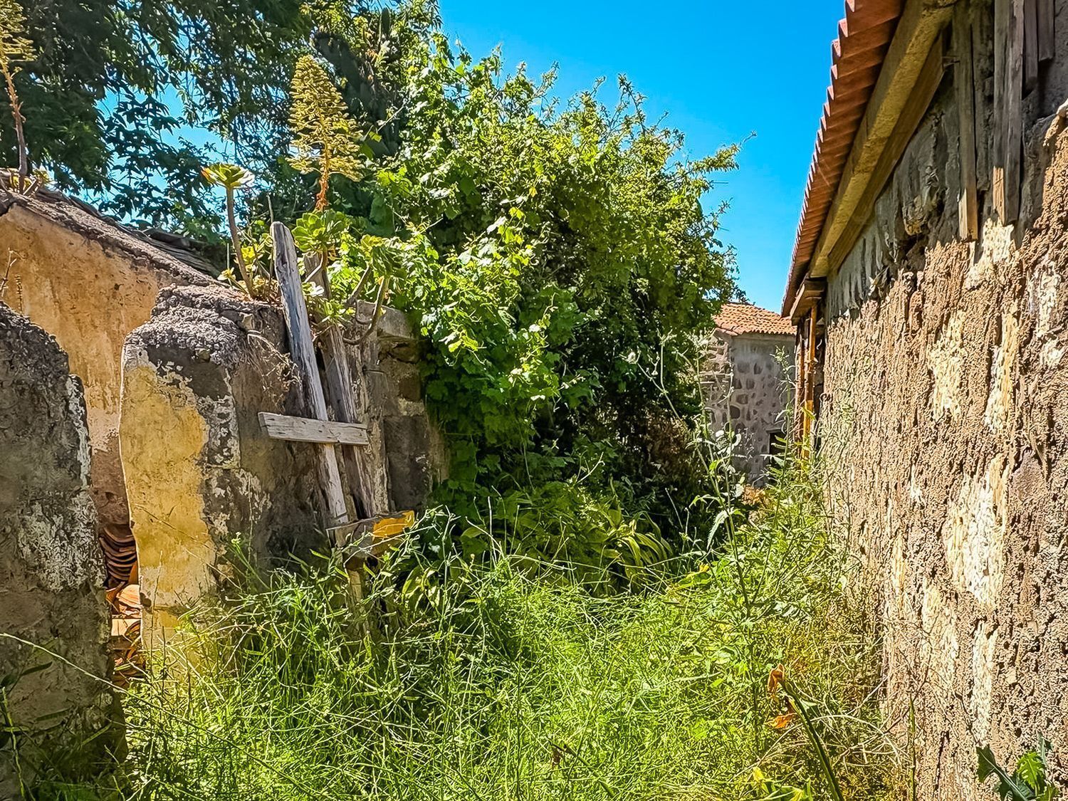 Fincas y solares-Venta-Valleseco-2417536-Foto-47