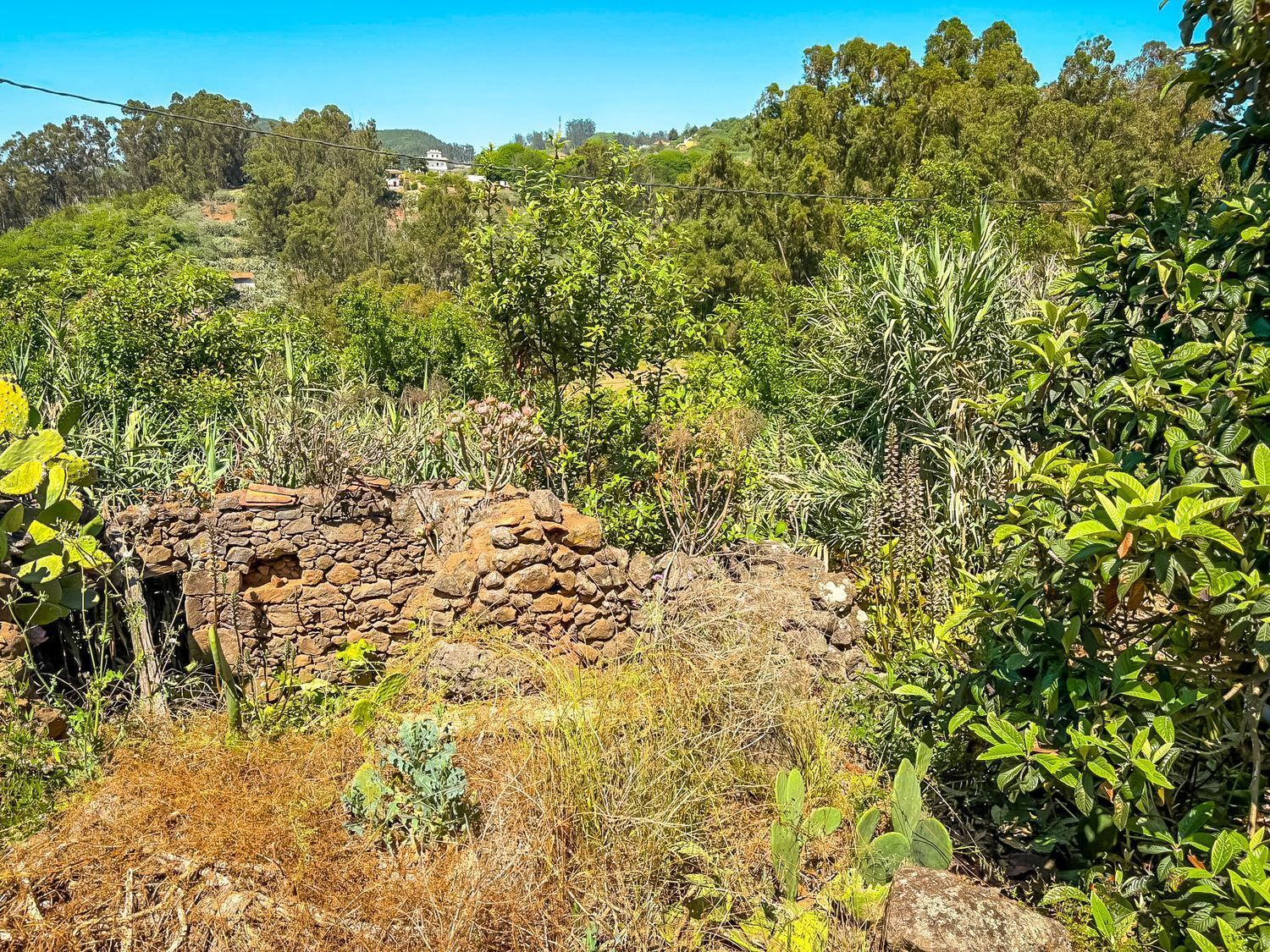 Fincas y solares-Venta-Valleseco-2417536-Foto-51