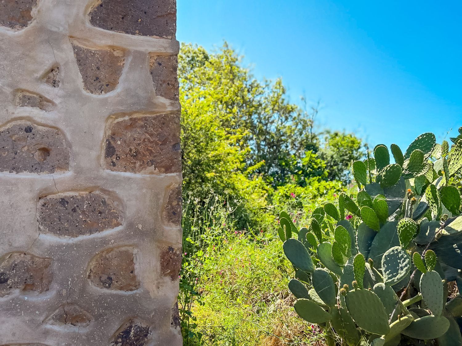 Fincas y solares-Venta-Valleseco-2417536-Foto-52