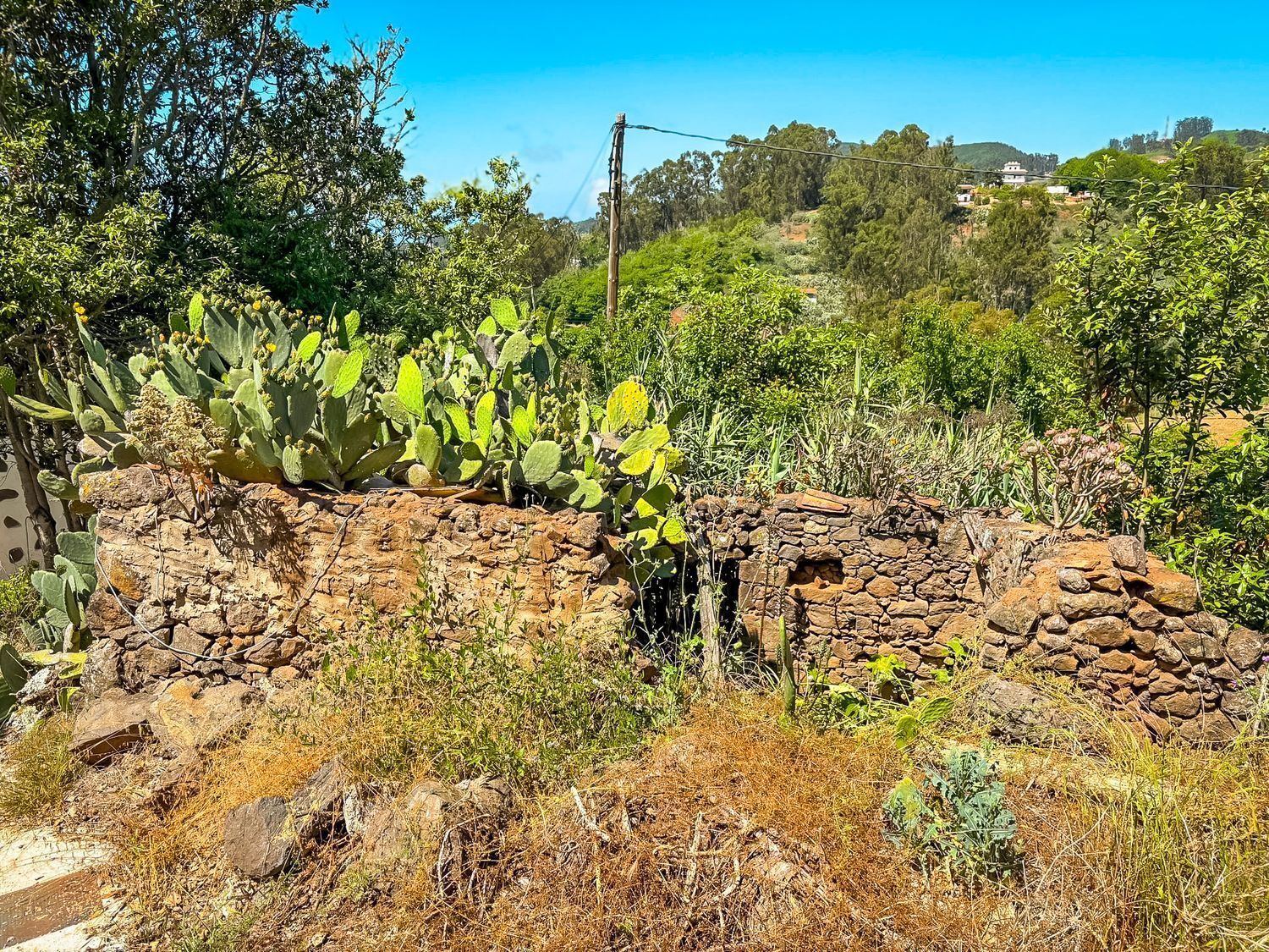 Fincas y solares-Venta-Valleseco-2417536-Foto-50