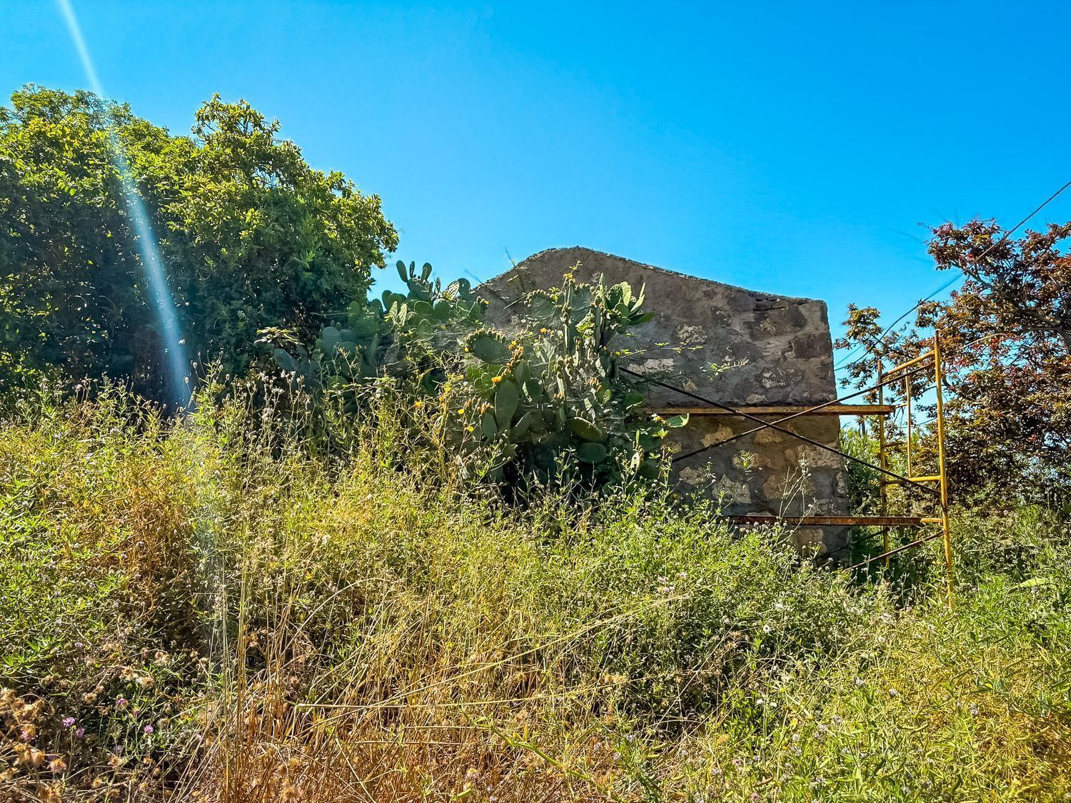 Fincas y solares-Venta-Valleseco-2417536-Foto-54