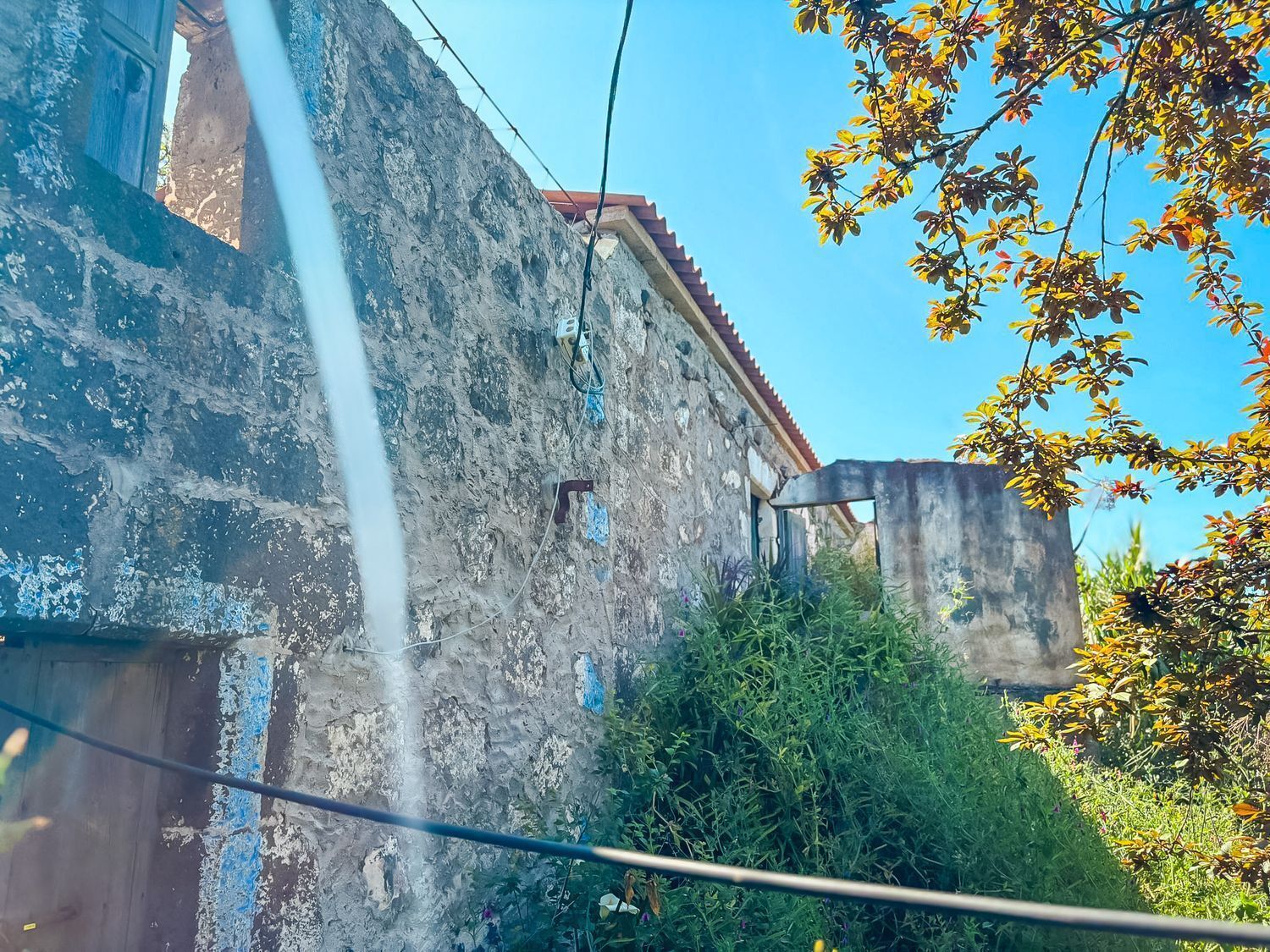 Fincas y solares-Venta-Valleseco-2417536-Foto-56