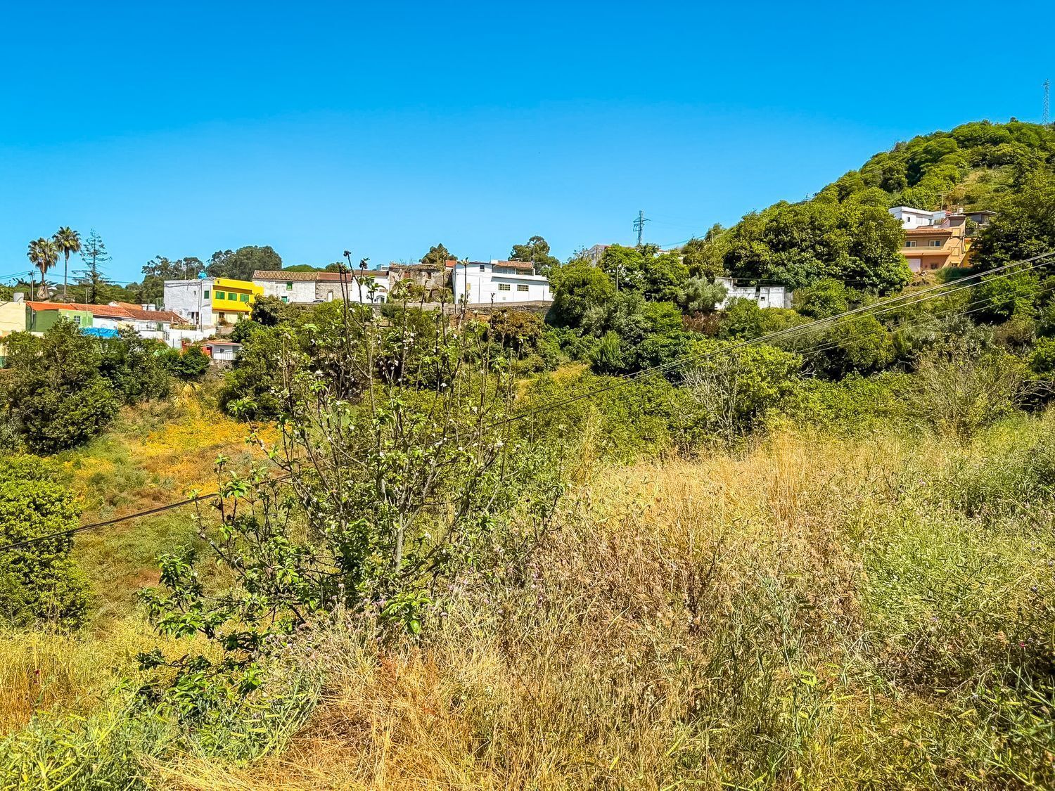 Fincas y solares-Venta-Valleseco-2417536-Foto-58