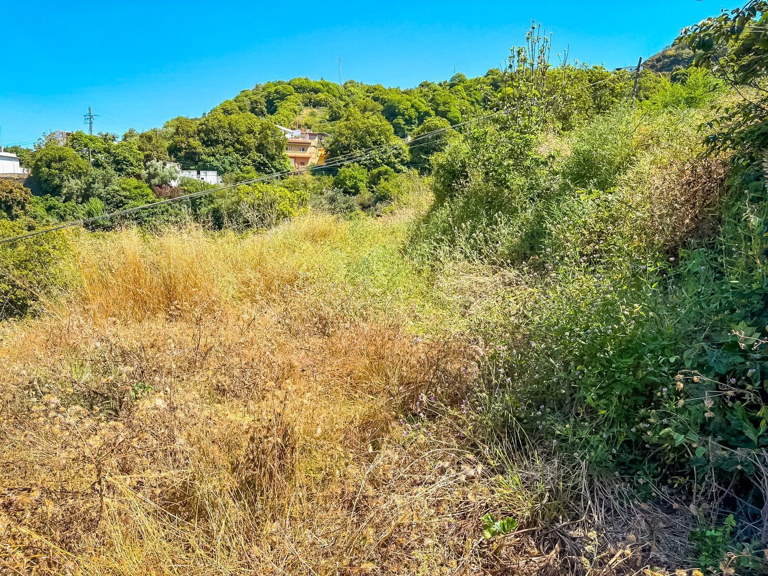 Fincas y solares-Venta-Valleseco-2417536-Foto-55