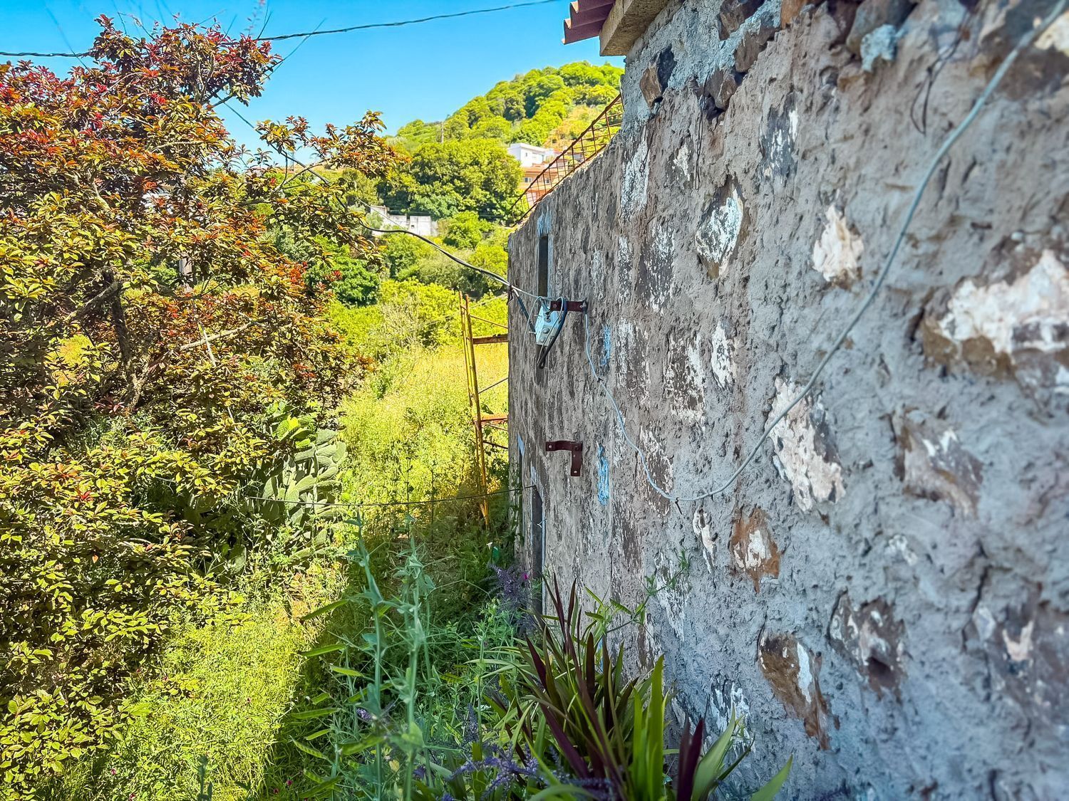 Fincas y solares-Venta-Valleseco-2417536-Foto-63