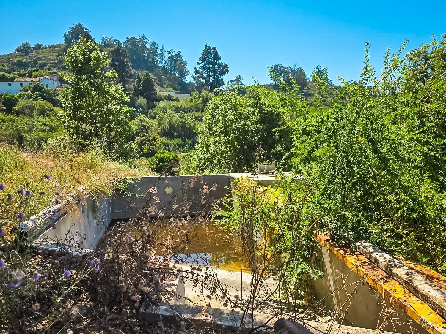 Fincas y solares-Venta-Valleseco-2417536-Foto-66
