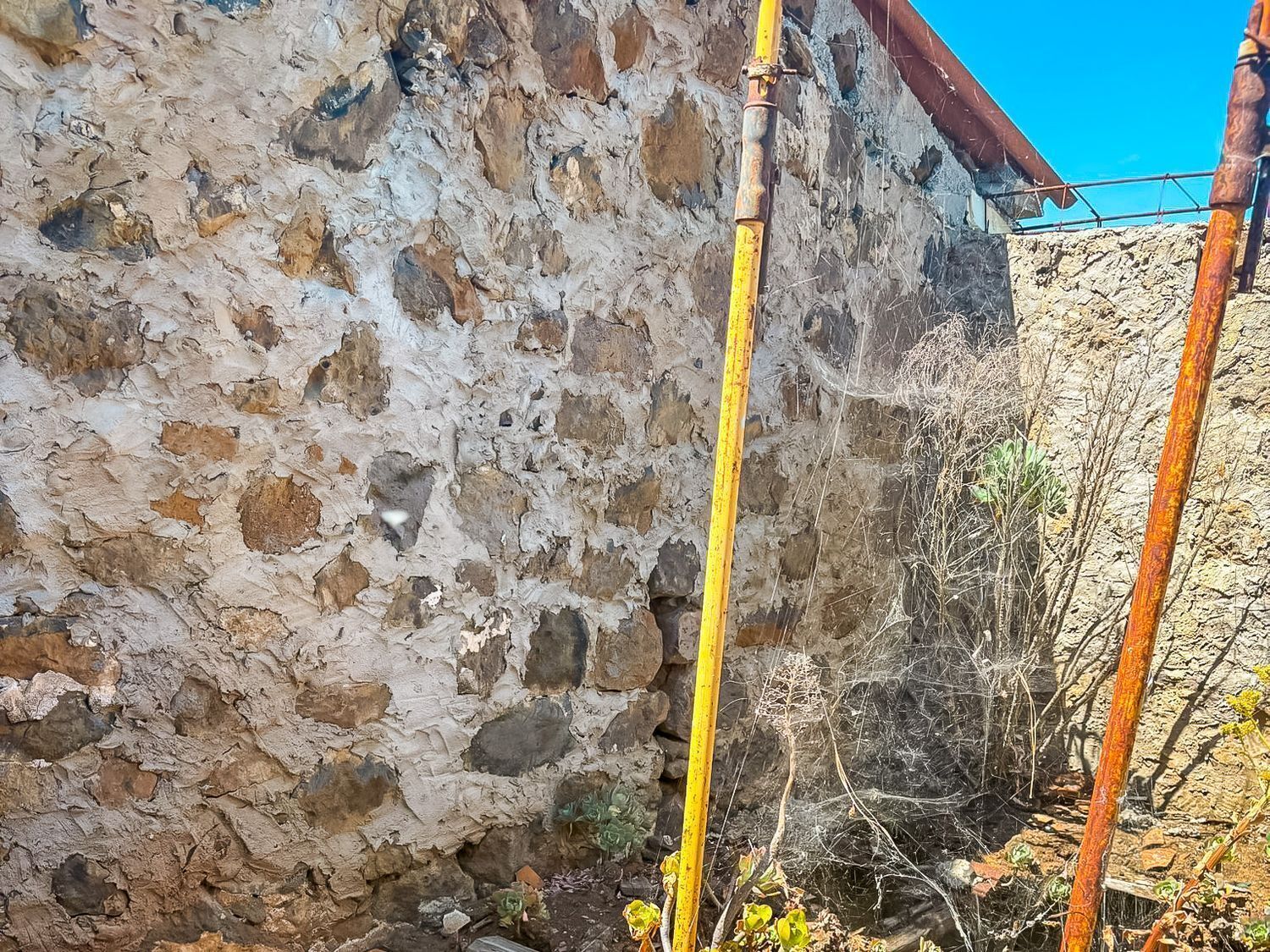 Fincas y solares-Venta-Valleseco-2417536-Foto-64