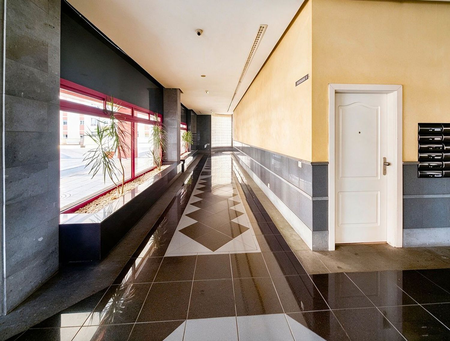 Pisos-Alquiler-Las Palmas de Gran Canaria-2417533-Foto-34