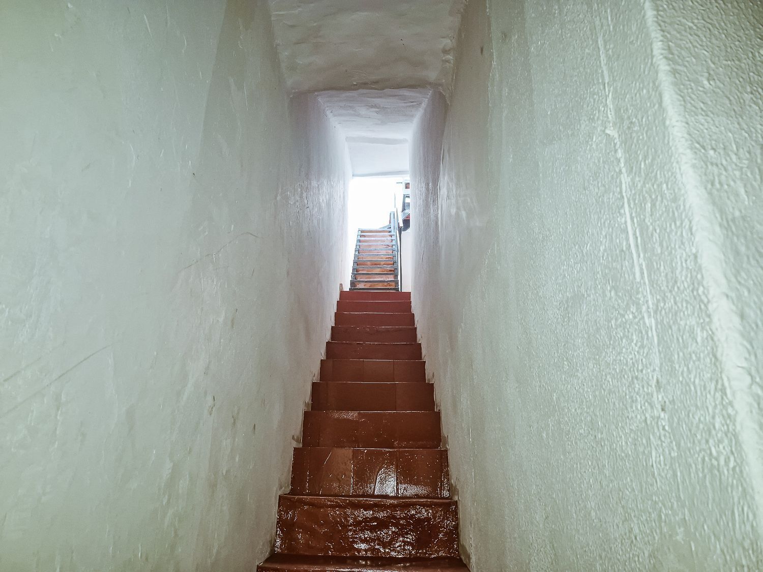Casas o chalets-Venta-Las Palmas de Gran Canaria-2417530-Foto-11