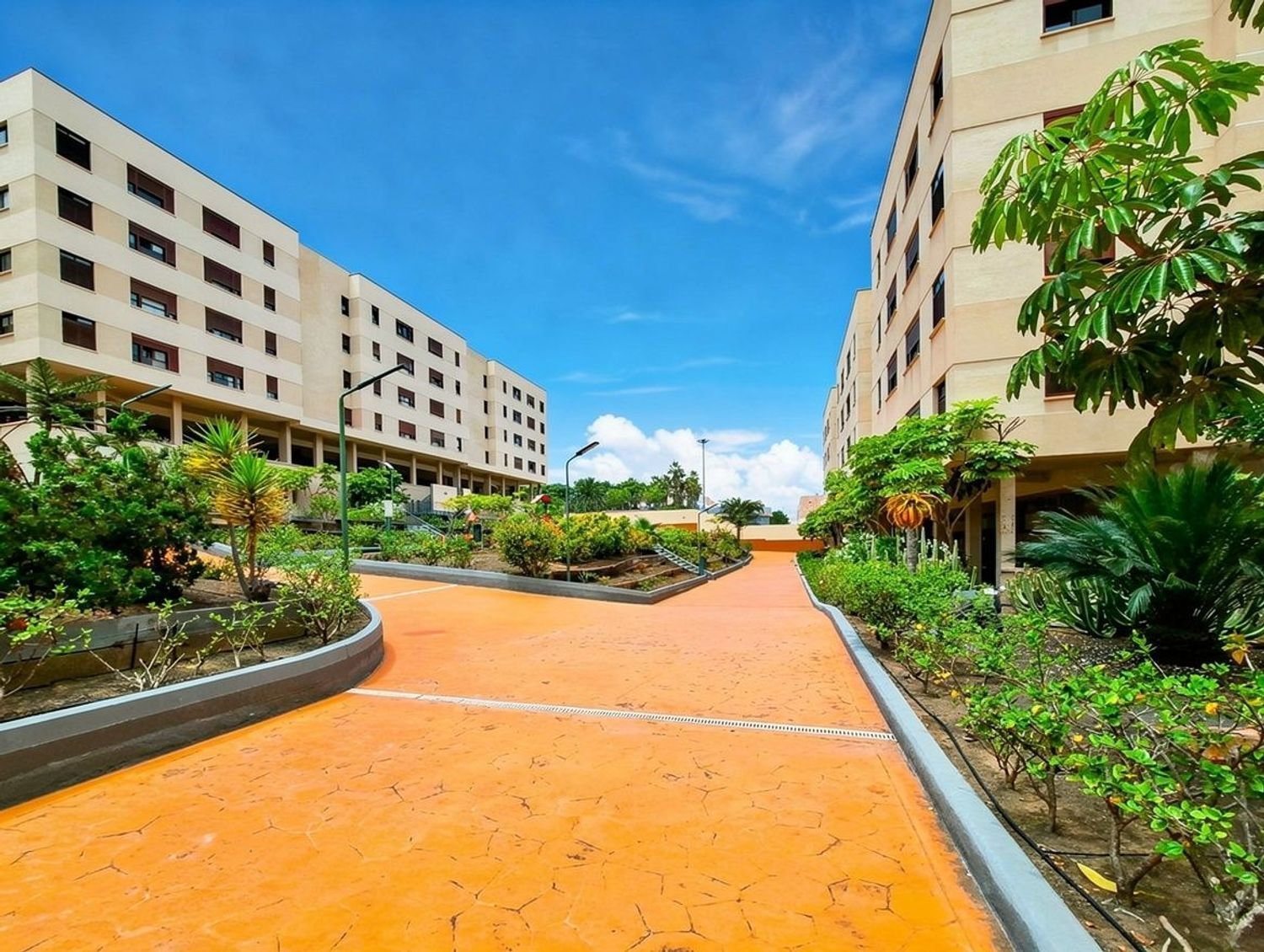 Pisos-Venta-Las Palmas de Gran Canaria-2417527