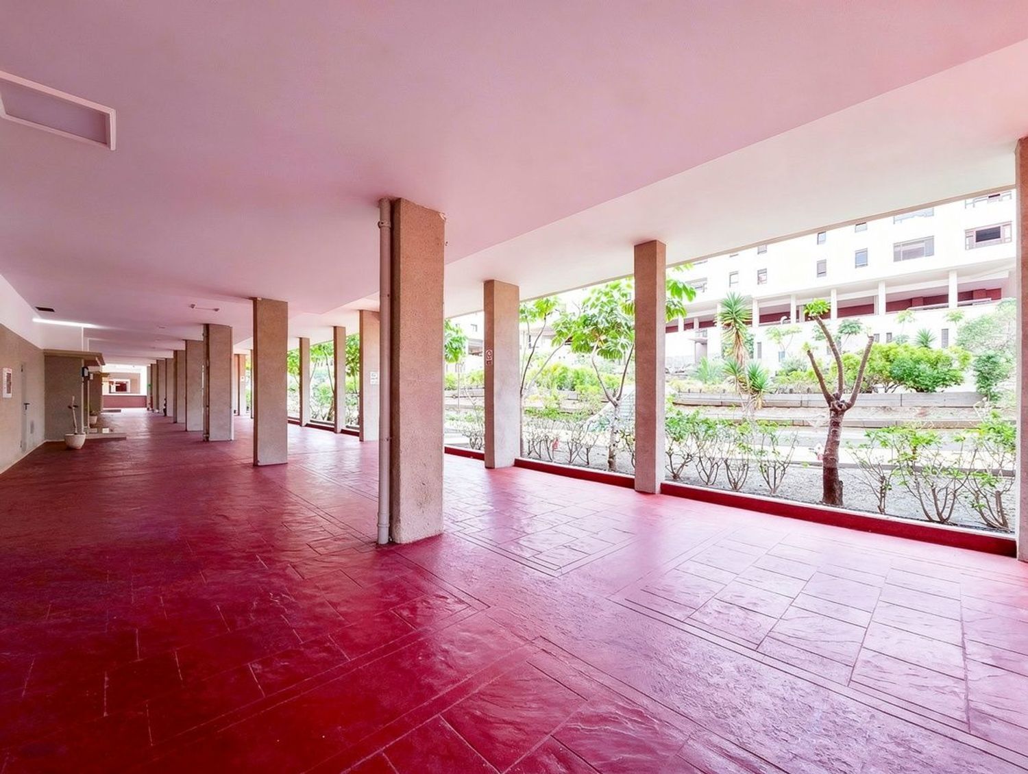 Pisos-Venta-Las Palmas de Gran Canaria-2417527-Foto-55