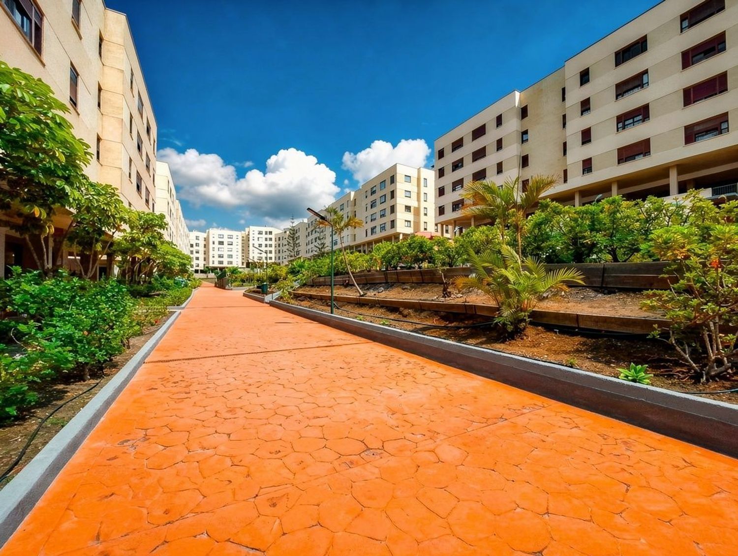 Pisos-Venta-Las Palmas de Gran Canaria-2417527-Foto-59