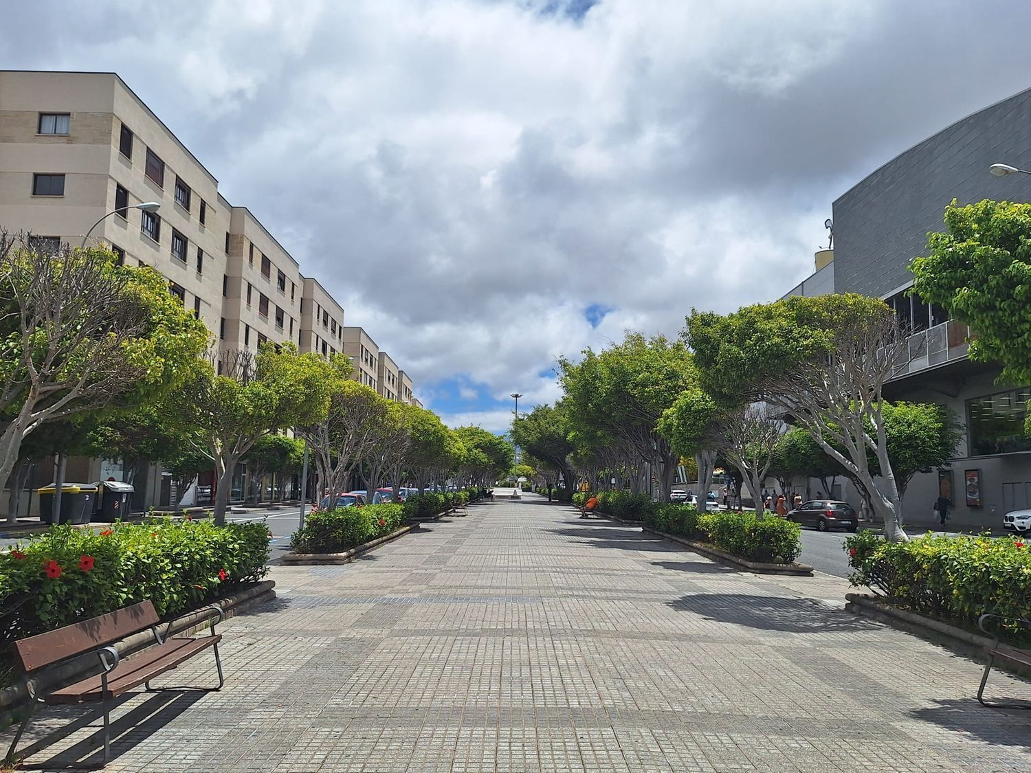 Pisos-Venta-Las Palmas de Gran Canaria-2417527-Foto-62
