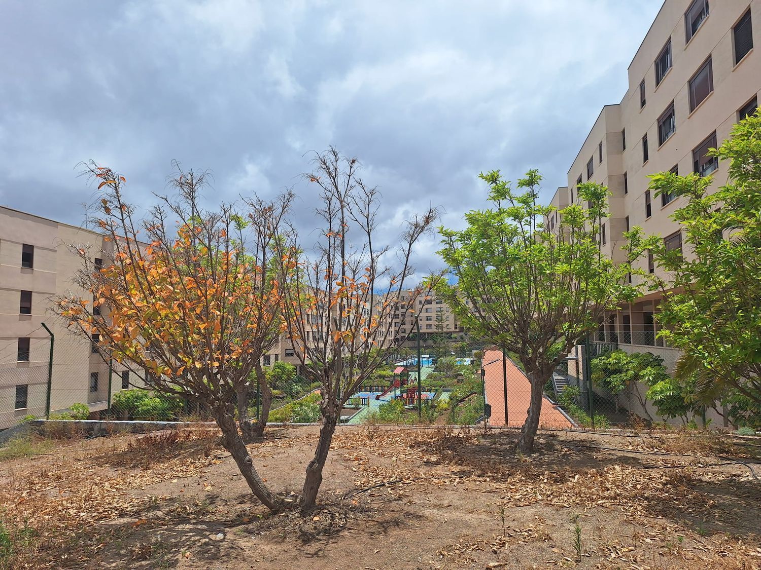 Pisos-Venta-Las Palmas de Gran Canaria-2417527-Foto-63