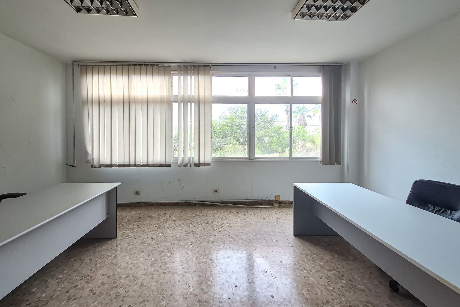 Oficinas-Venta-Las Palmas de Gran Canaria-2417509-Foto-4