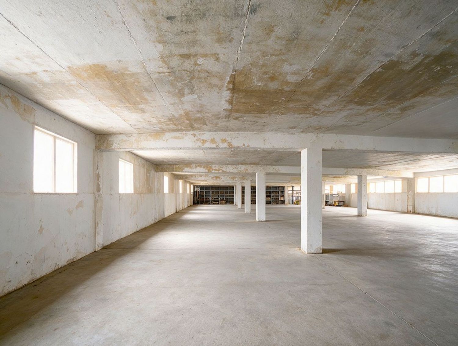 Negocios-Venta-Las Palmas de Gran Canaria-2417506-Foto-12