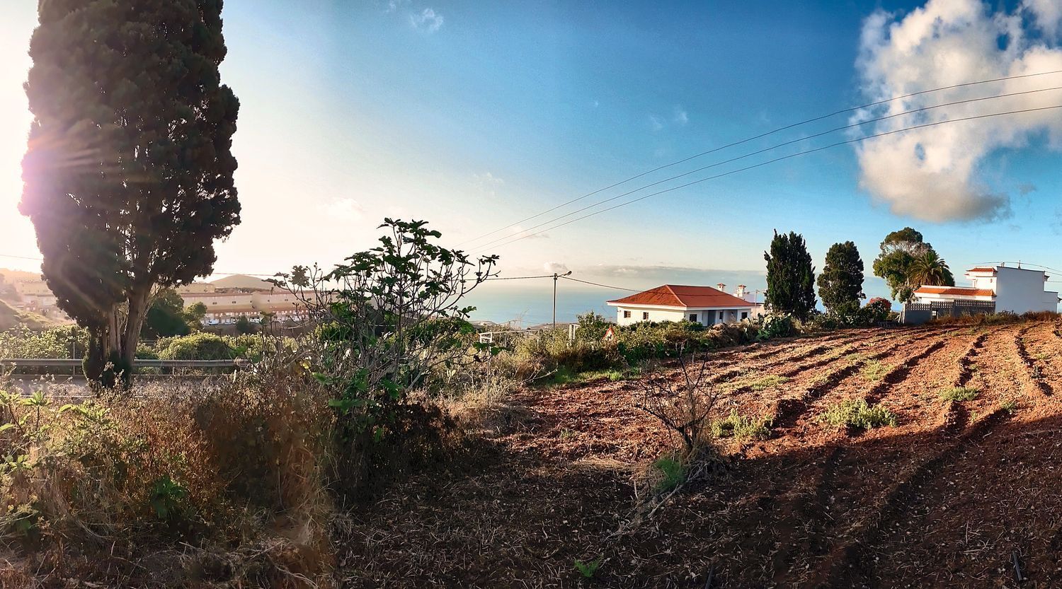 Fincas y solares-Venta-Firgas-2417500-Foto-3