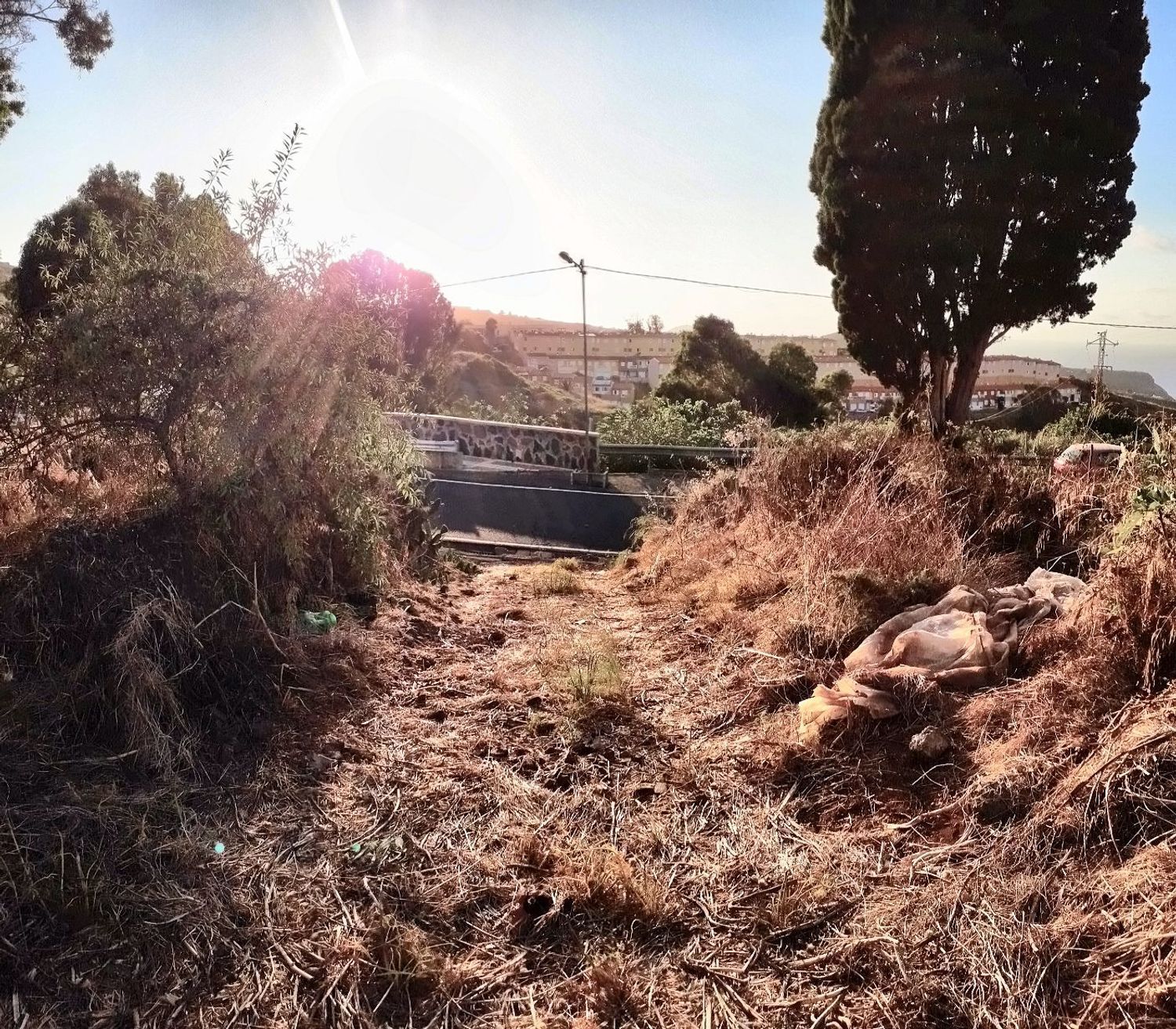Fincas y solares-Venta-Firgas-2417500-Foto-4