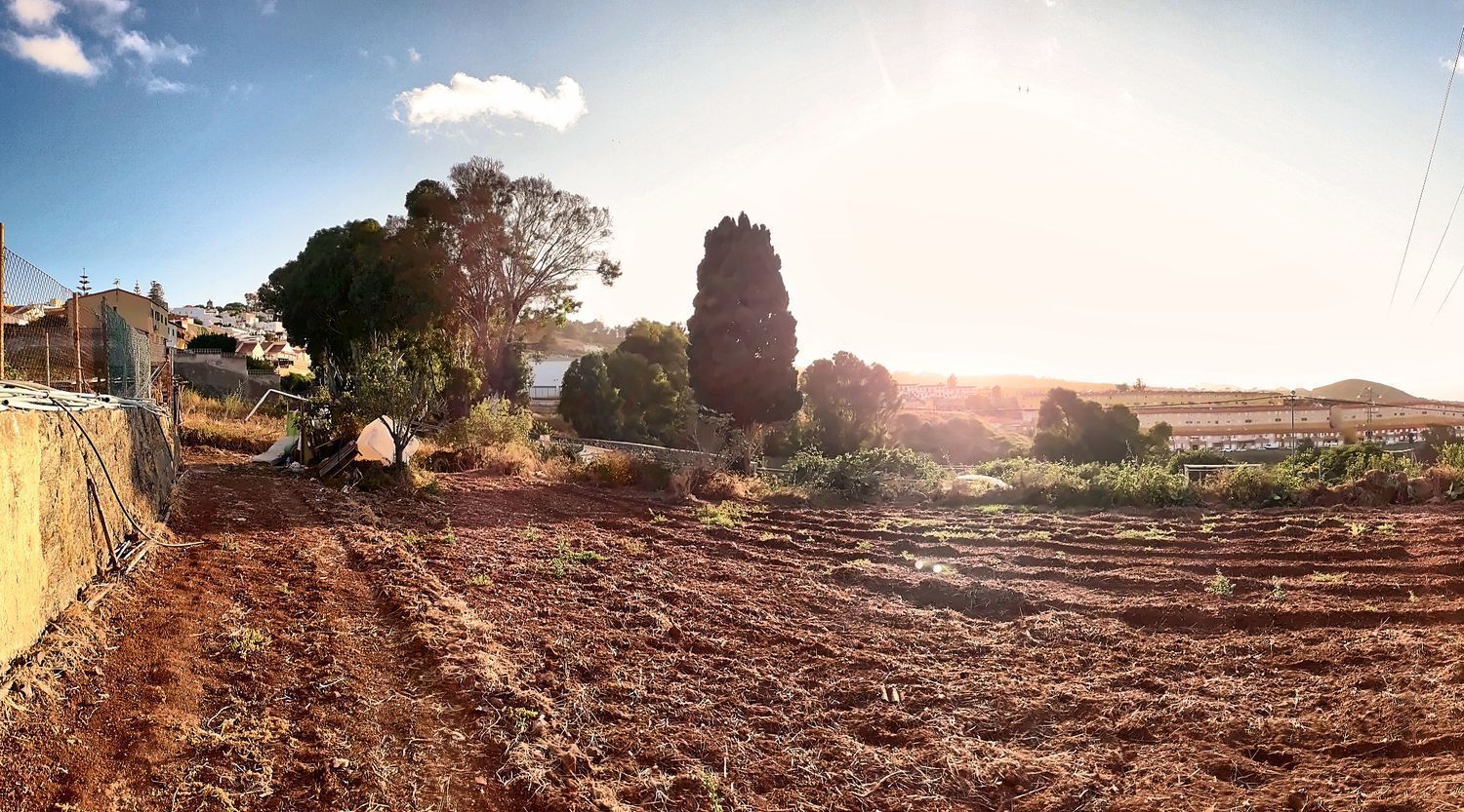Fincas y solares-Venta-Firgas-2417500-Foto-6