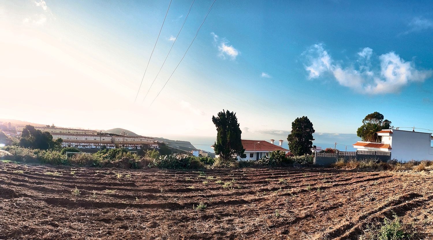 Fincas y solares-Venta-Firgas-2417500-Foto-7