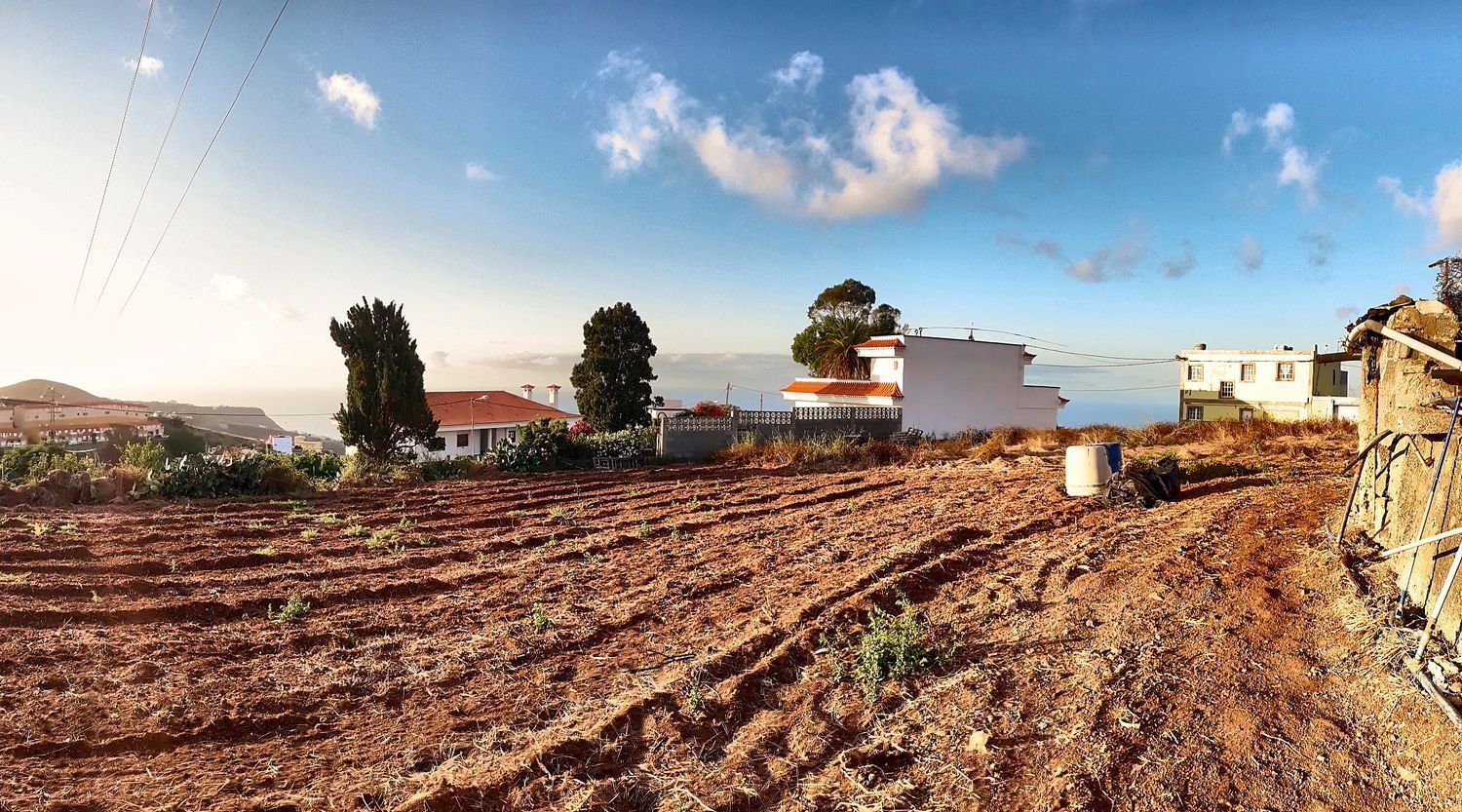Fincas y solares-Venta-Firgas-2417500-Foto-8
