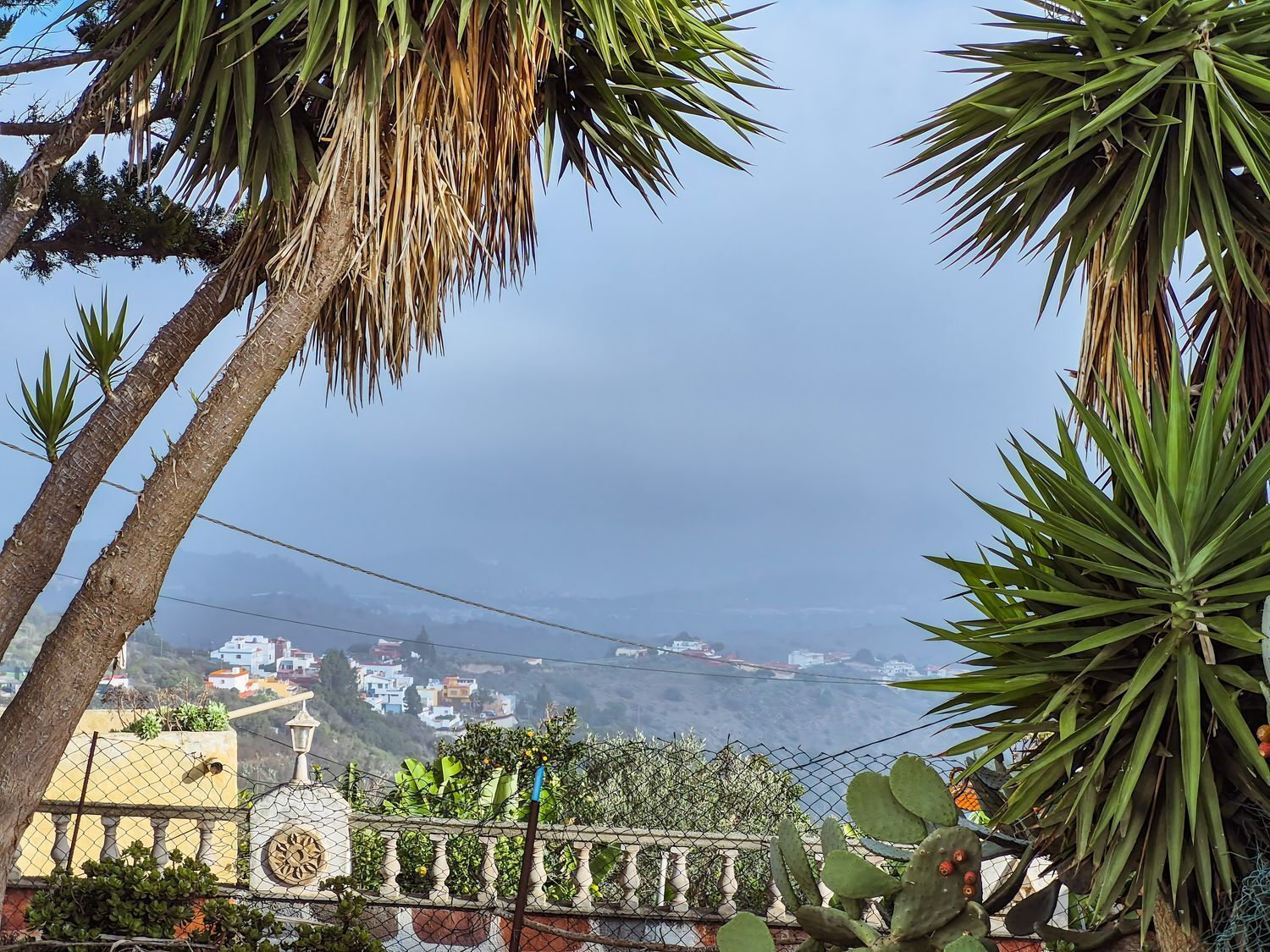 Pisos-Venta-Las Palmas de Gran Canaria-2417497-Foto-6