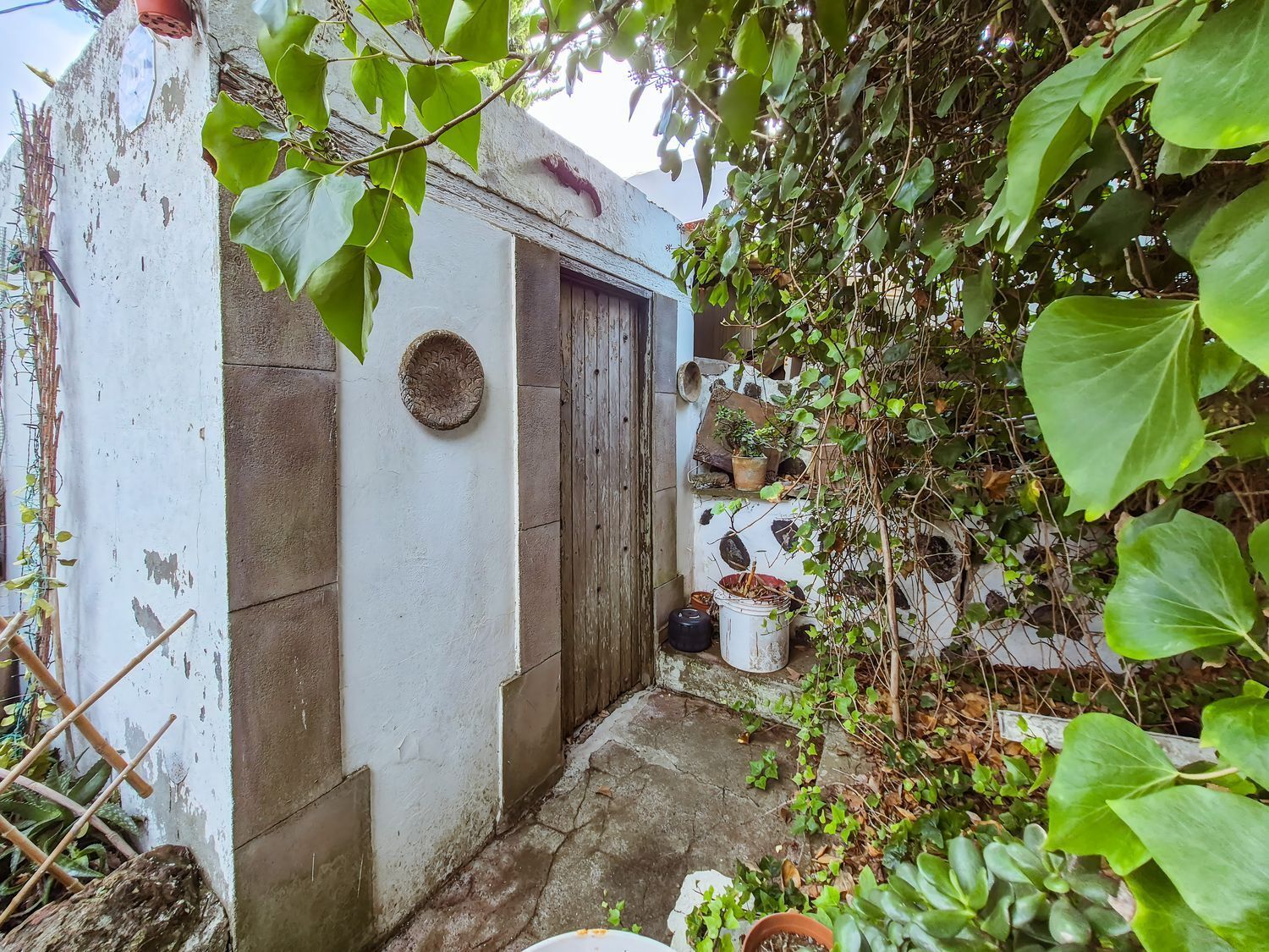 Pisos-Venta-Las Palmas de Gran Canaria-2417497-Foto-74