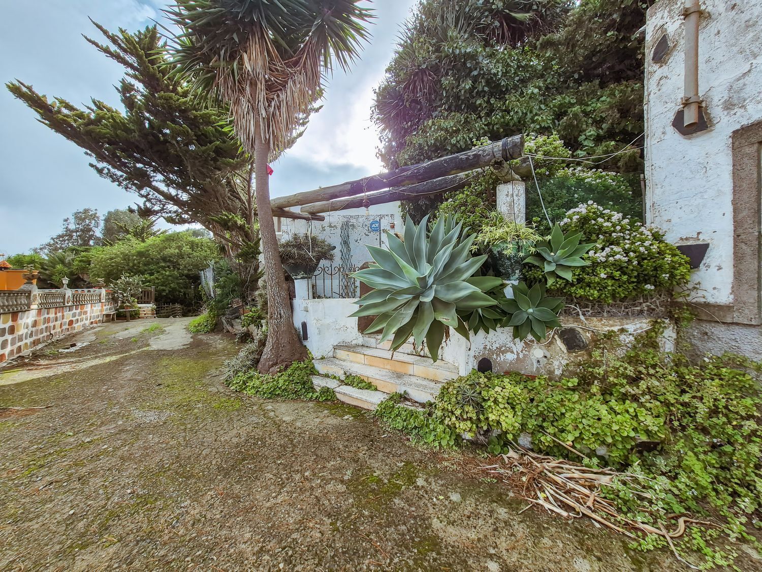 Pisos-Venta-Las Palmas de Gran Canaria-2417497-Foto-77