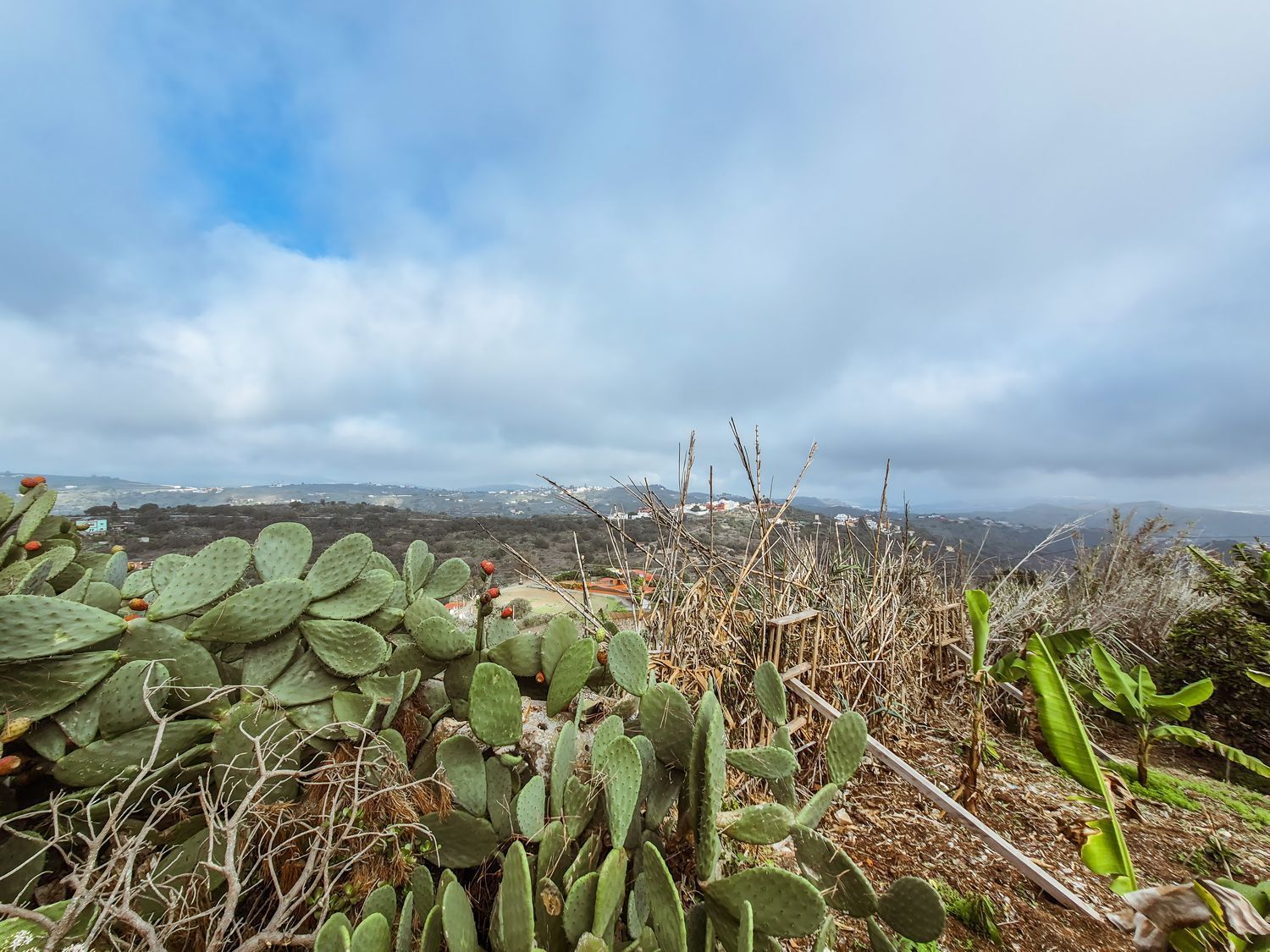 Pisos-Venta-Las Palmas de Gran Canaria-2417497-Foto-76