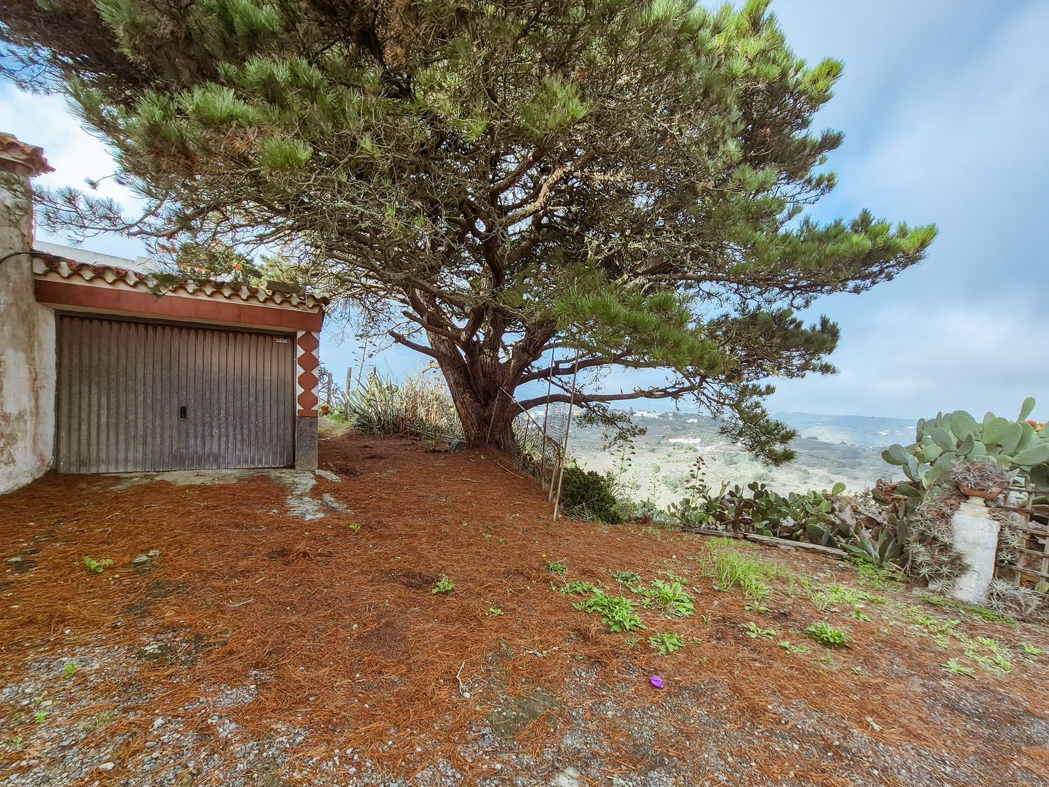Pisos-Venta-Las Palmas de Gran Canaria-2417497-Foto-75