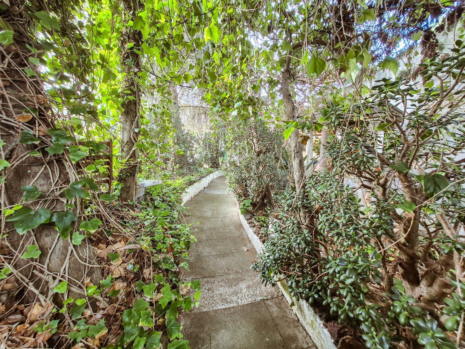 Pisos-Venta-Las Palmas de Gran Canaria-2417497-Foto-78