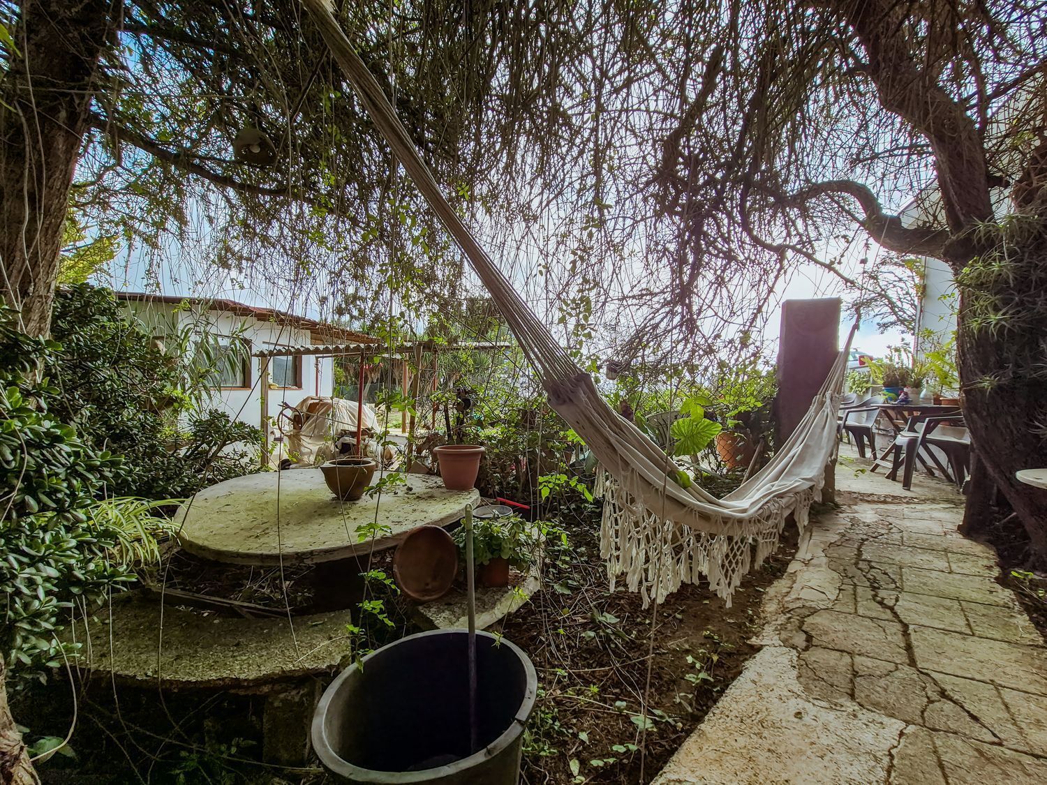 Pisos-Venta-Las Palmas de Gran Canaria-2417497-Foto-79