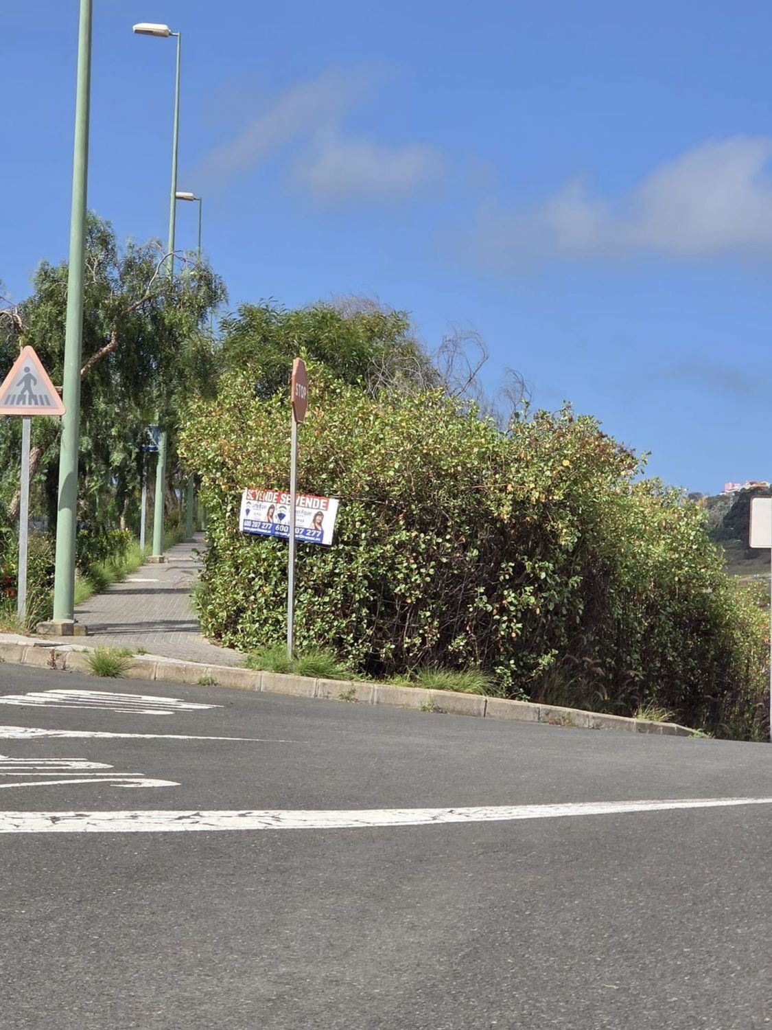 Fincas y solares-Venta-Las Palmas de Gran Canaria-2417491-Foto-12