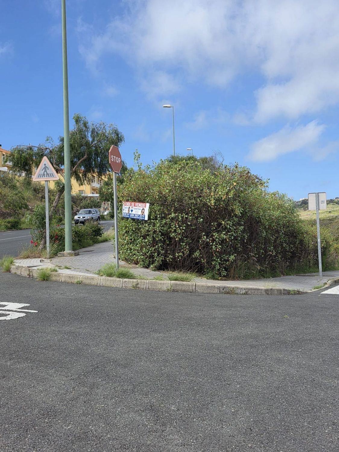 Fincas y solares-Venta-Las Palmas de Gran Canaria-2417491-Foto-11