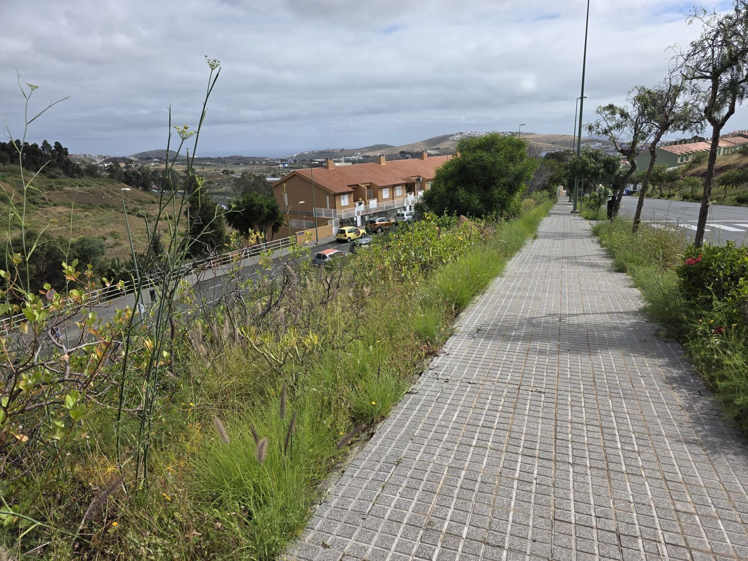 Fincas y solares-Venta-Las Palmas de Gran Canaria-2417491-Foto-9