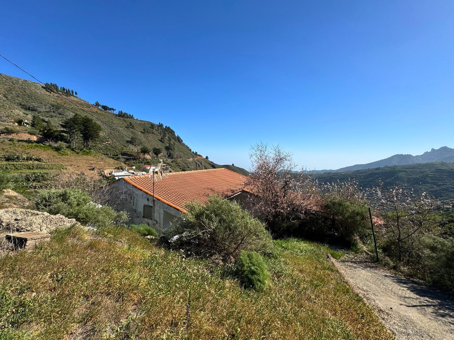 Casas o chalets-Venta-Vega de San Mateo-2417479-Foto-2