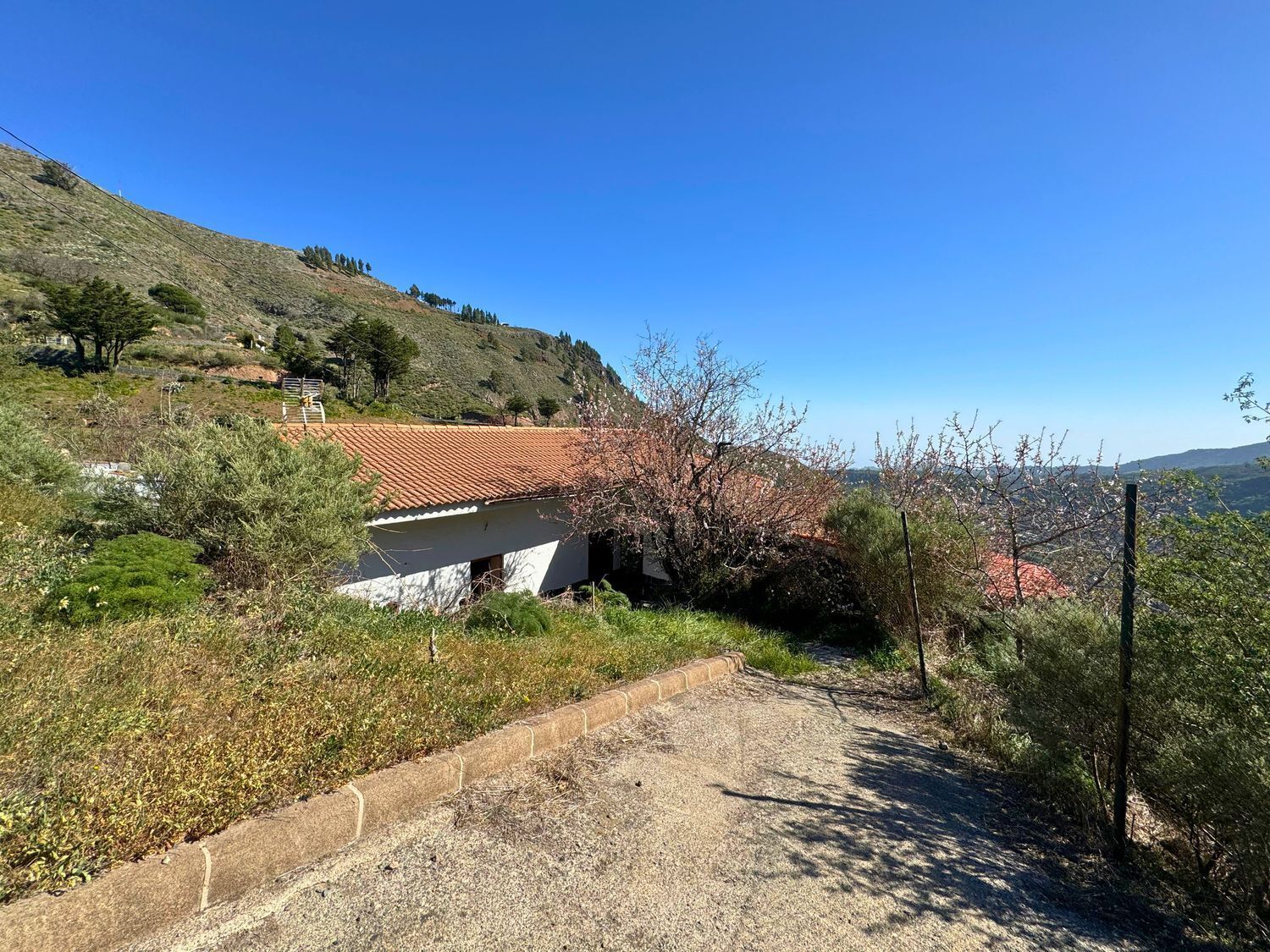 Casas o chalets-Venta-Vega de San Mateo-2417479-Foto-3