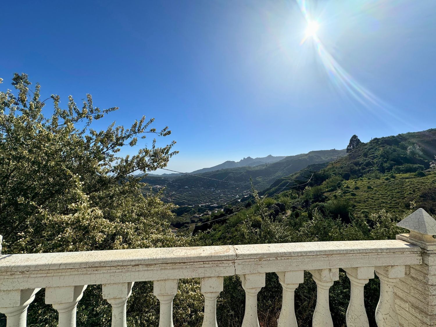 Casas o chalets-Venta-Vega de San Mateo-2417479-Foto-7