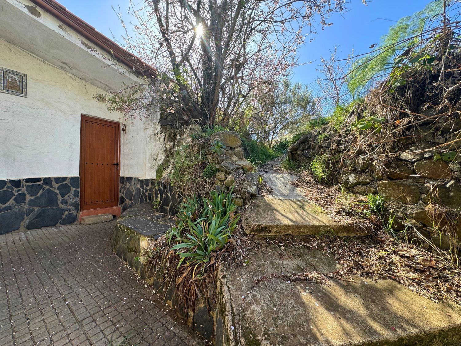 Casas o chalets-Venta-Vega de San Mateo-2417479-Foto-6