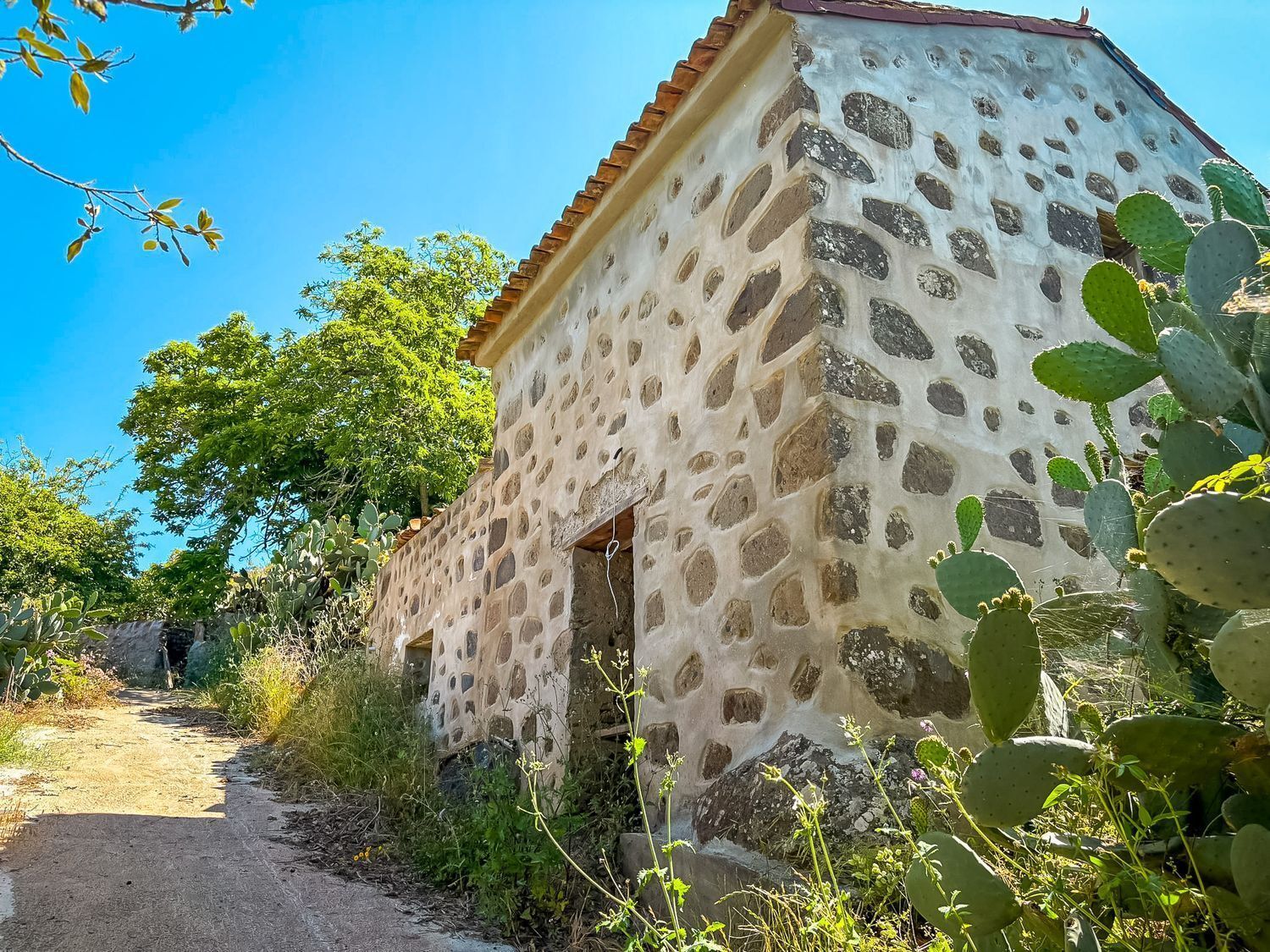 Casas o chalets-Venta-Valleseco-2417476-Foto-19