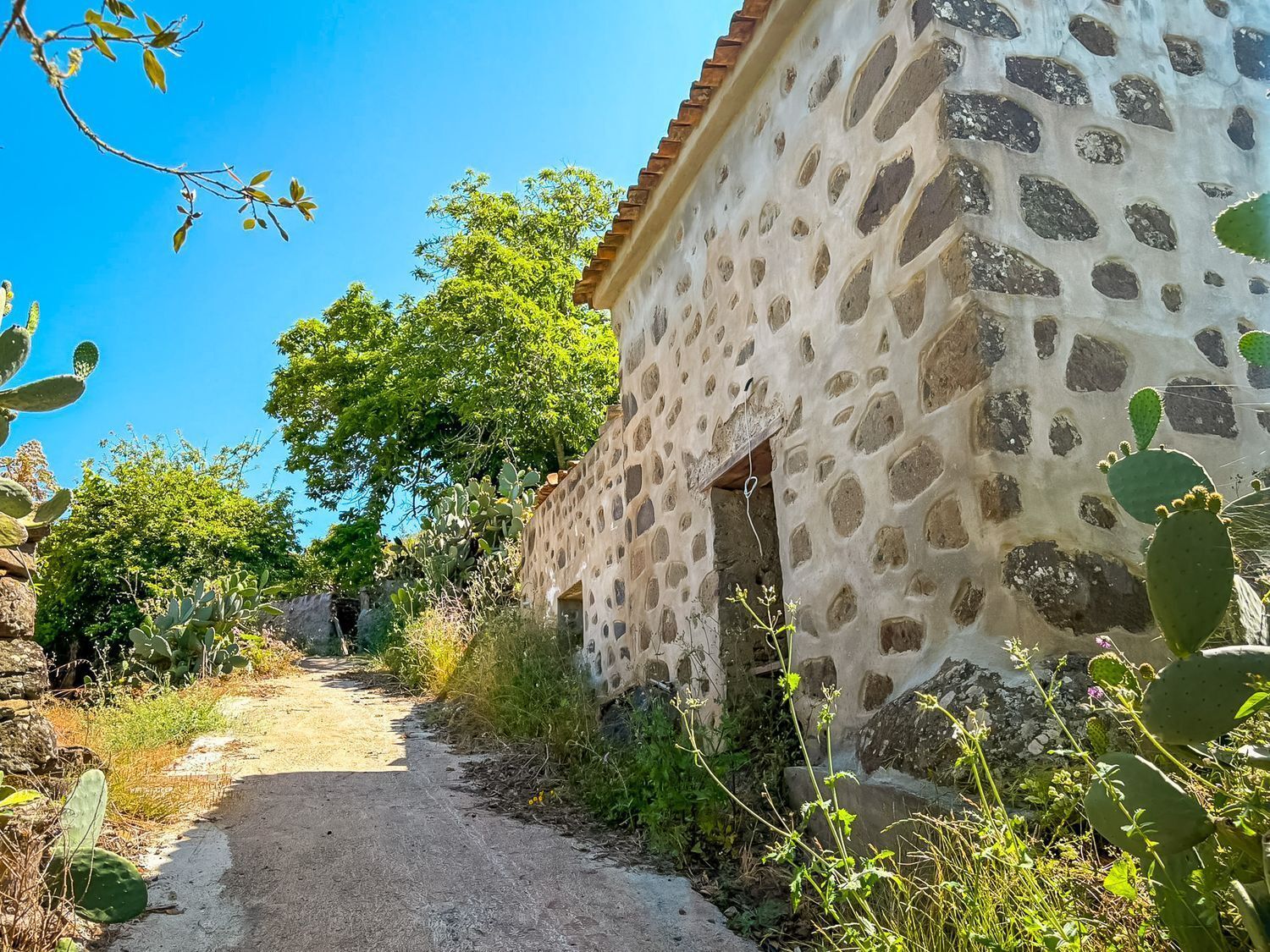 Casas o chalets-Venta-Valleseco-2417476-Foto-30