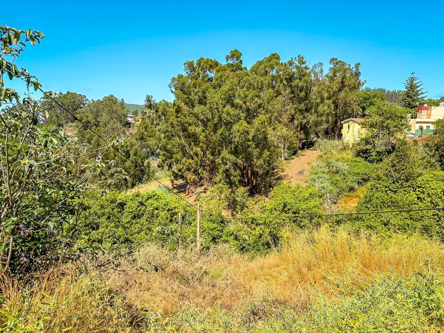 Casas o chalets-Venta-Valleseco-2417476-Foto-31