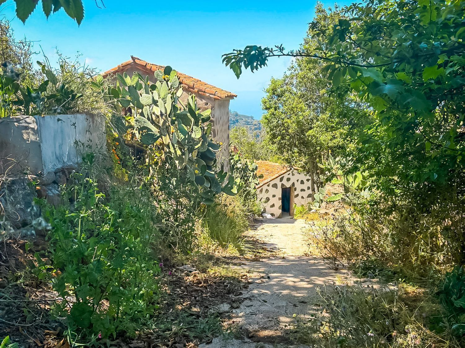Casas o chalets-Venta-Valleseco-2417476-Foto-42