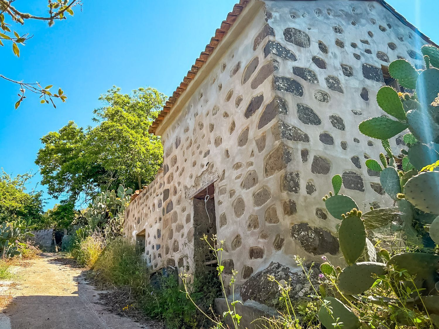Casas o chalets-Venta-Valleseco-2417476-Foto-69