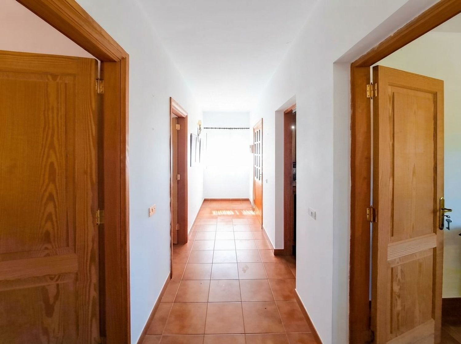 Casas o chalets-Venta-Santa BrÃ­gida-2417461-Foto-35