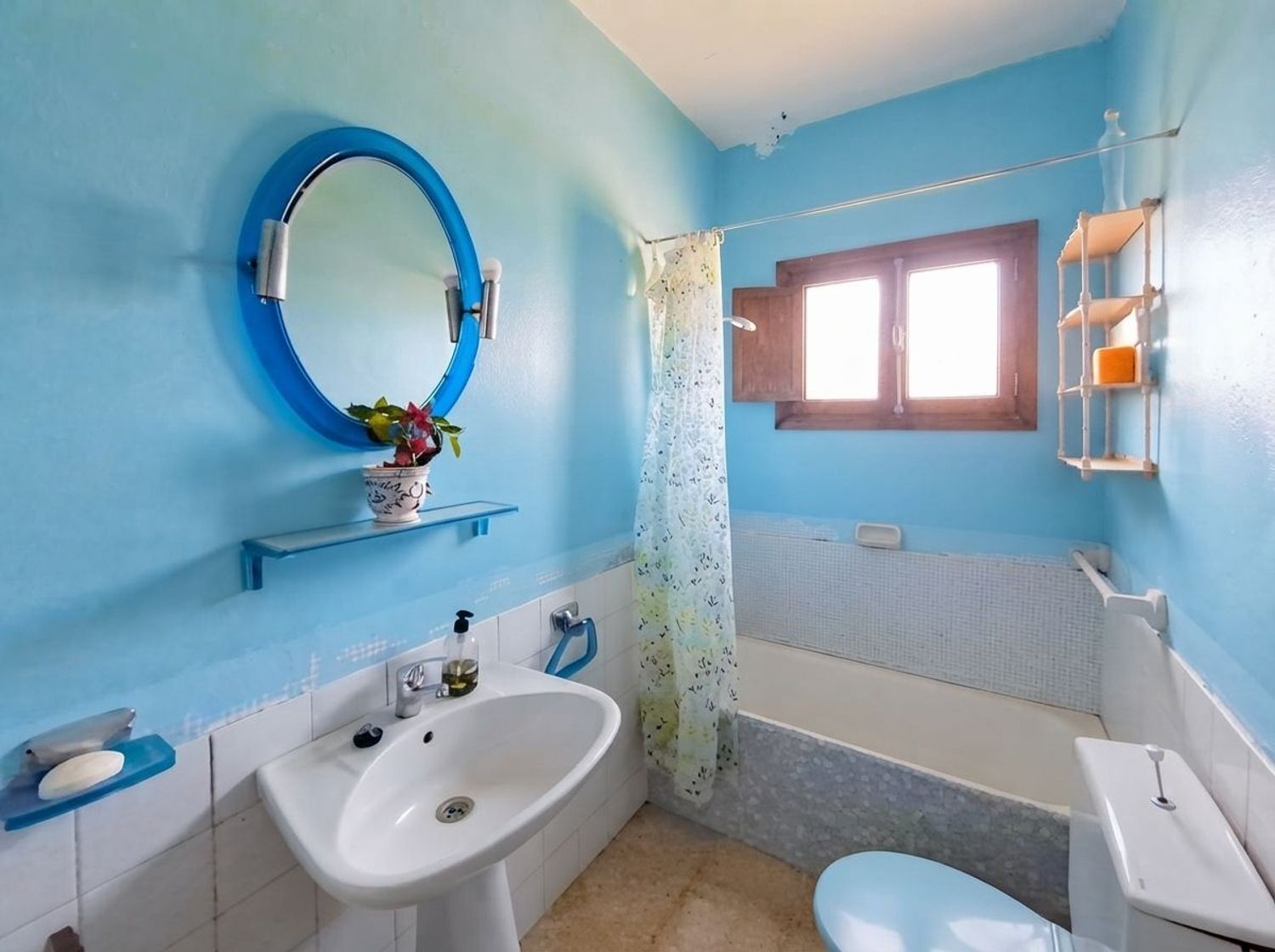 Casas o chalets-Venta-Santa BrÃ­gida-2417461-Foto-37
