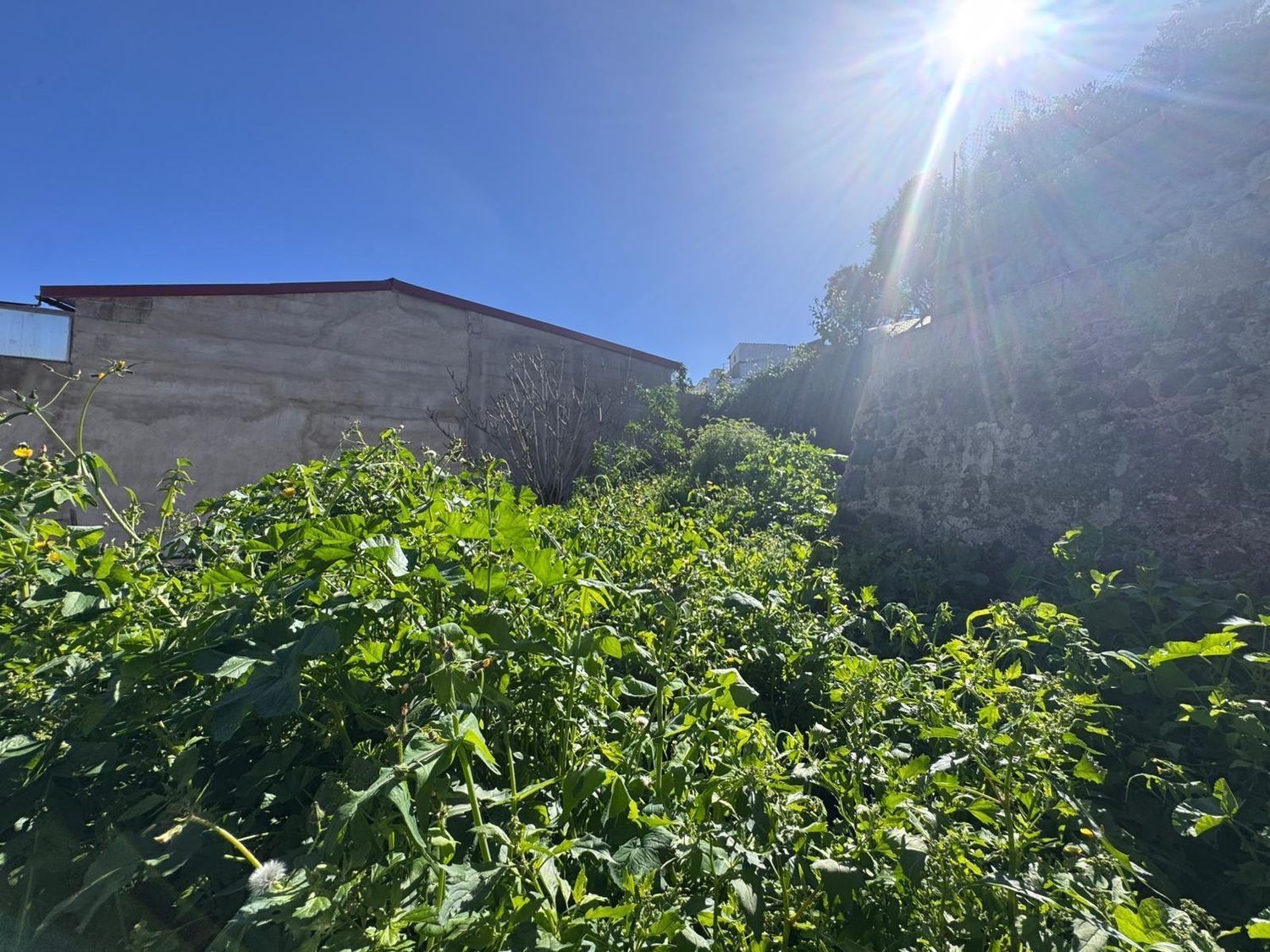 Casas o chalets-Venta-Arucas-2417458-Foto-2