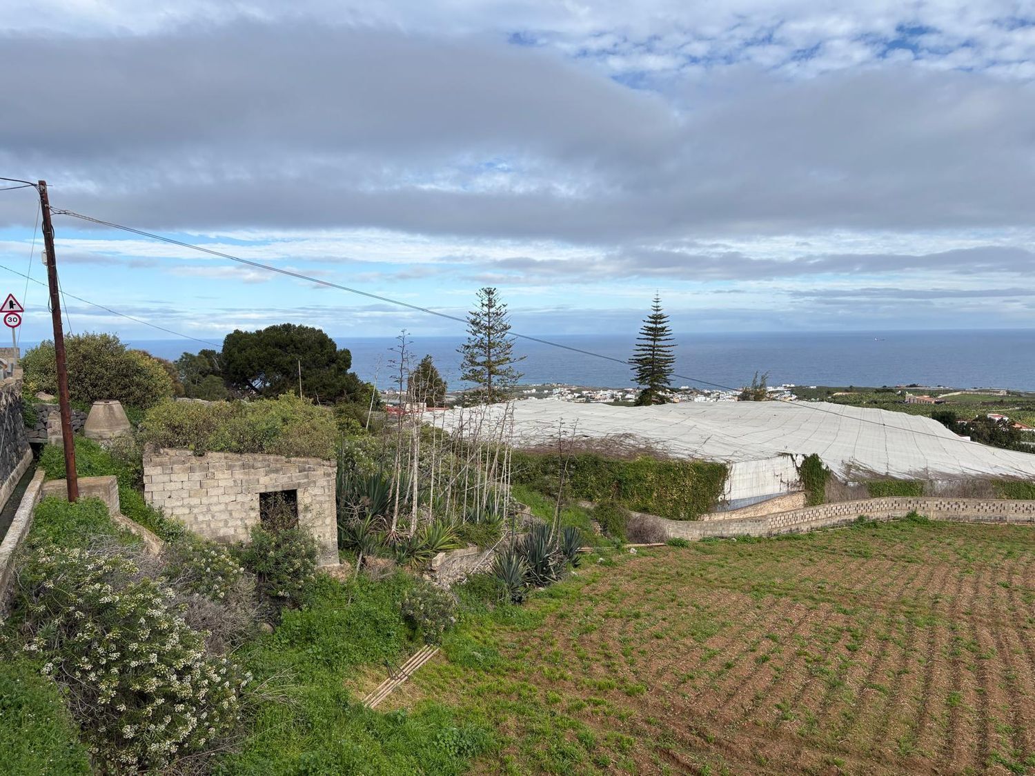 Casas o chalets-Venta-Arucas-2417458-Foto-31