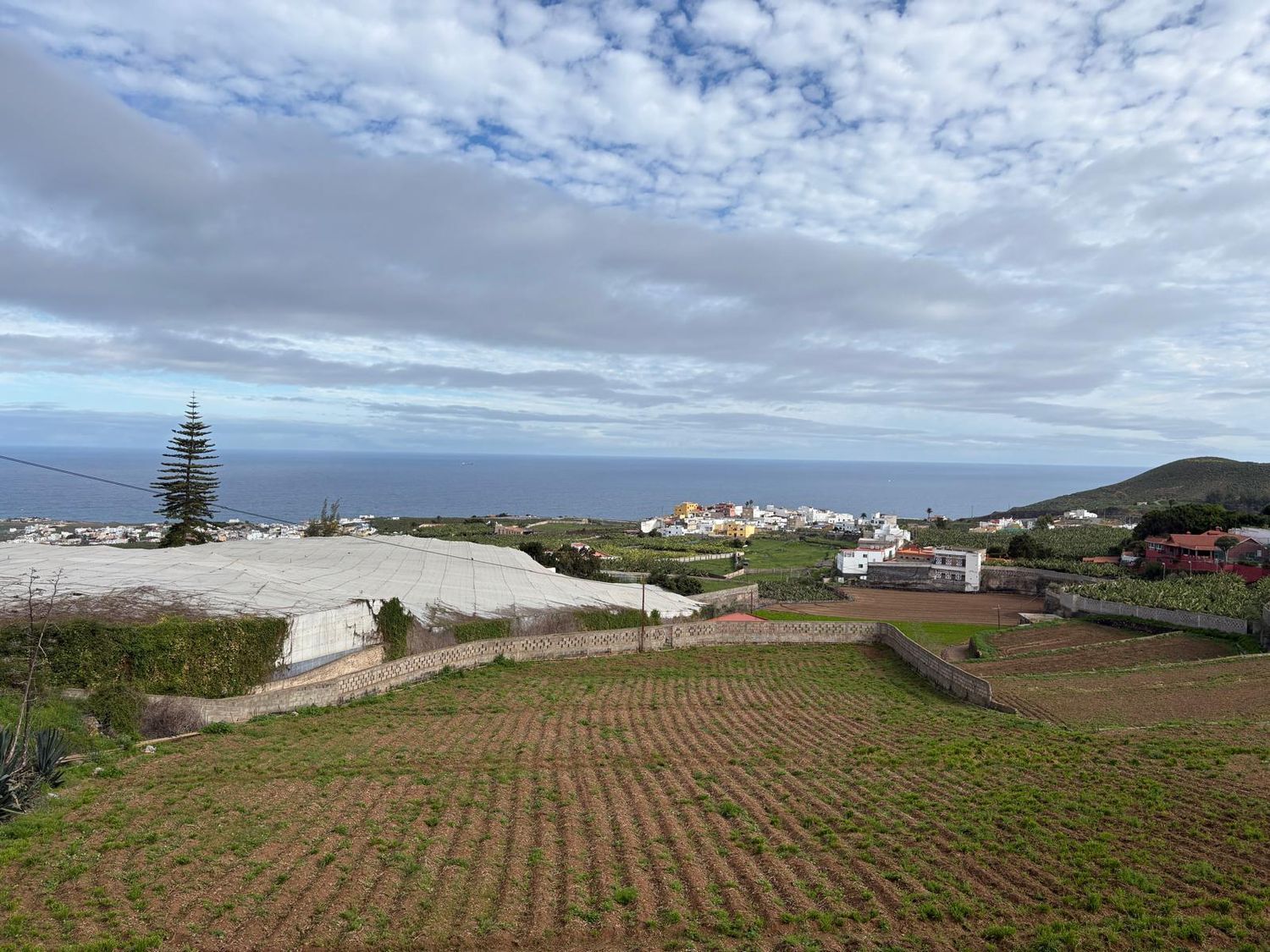 Casas o chalets-Venta-Arucas-2417458-Foto-30