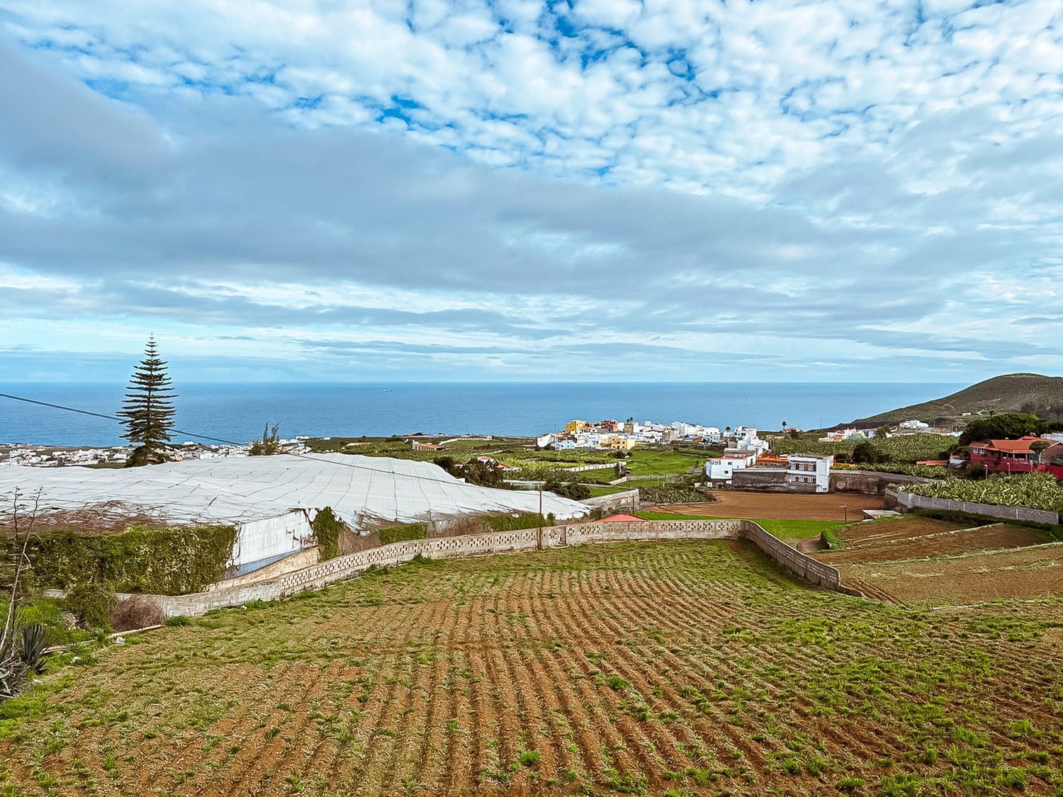 Casas o chalets-Venta-Arucas-2417458-Foto-37